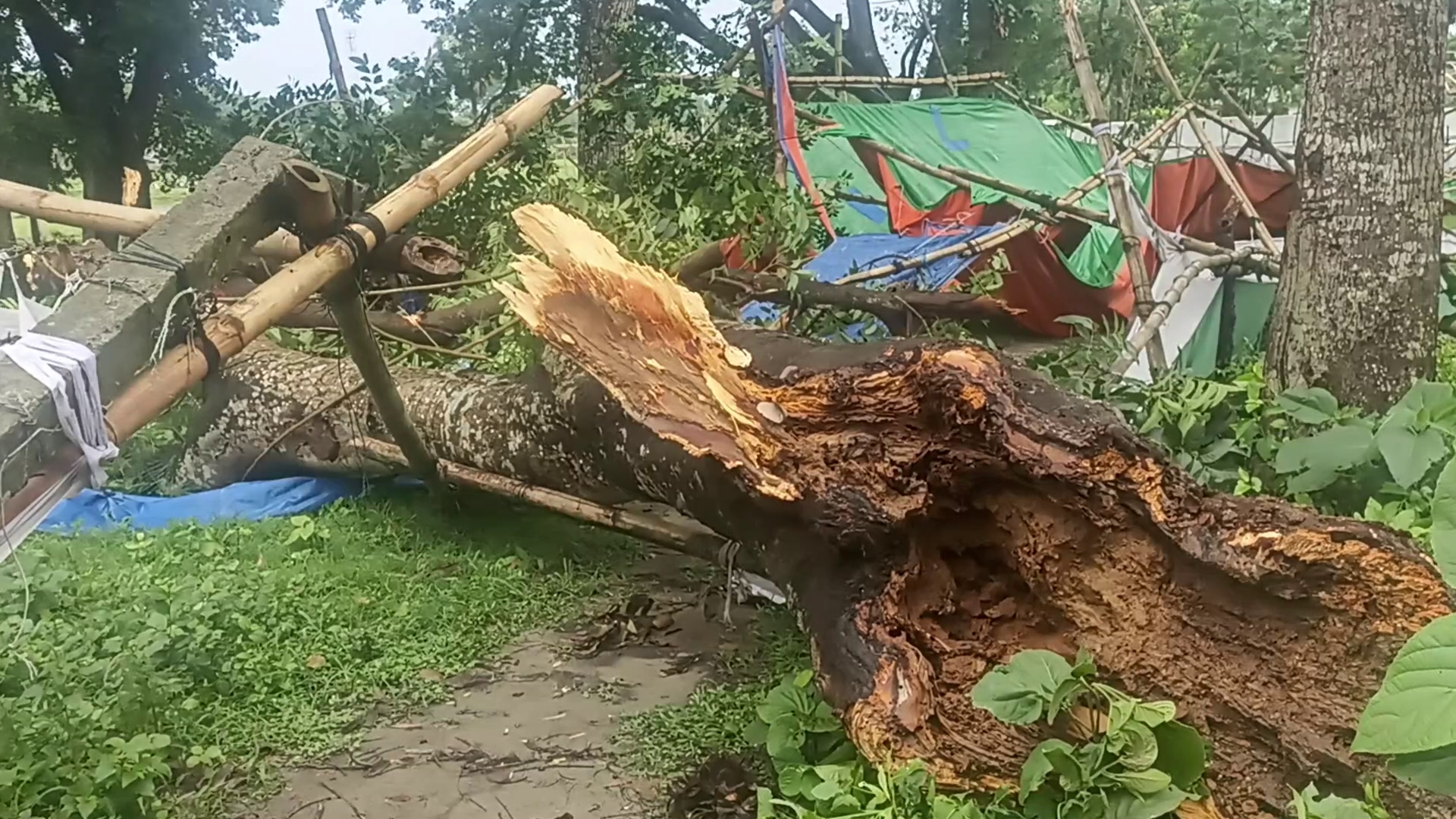 ফরিদপুরে তীব্র ঝড়ে গাছচাপায় প্রাণ গেল শ্রমিক নেতার