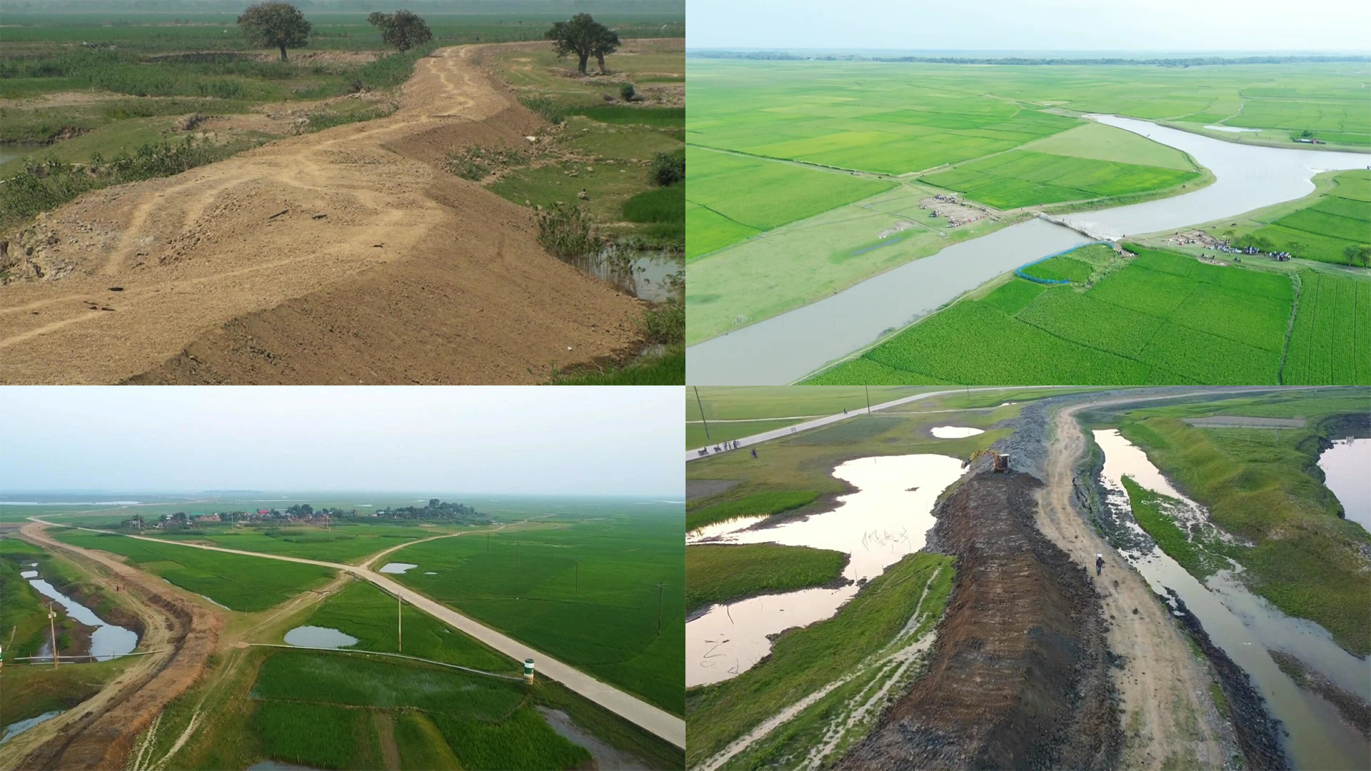 নেত্রকোনার হাওড়ে ফসল রক্ষা বাঁধই এখন ফসলের গলার কাঁটা