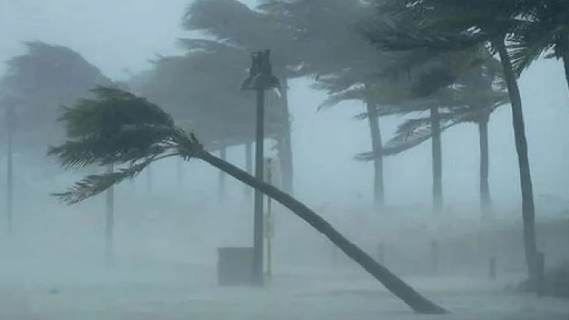 সকাল ৯টার মধ্যে যে অঞ্চলে ৬০ কিমি বেগে ঝড়ের আশঙ্কা