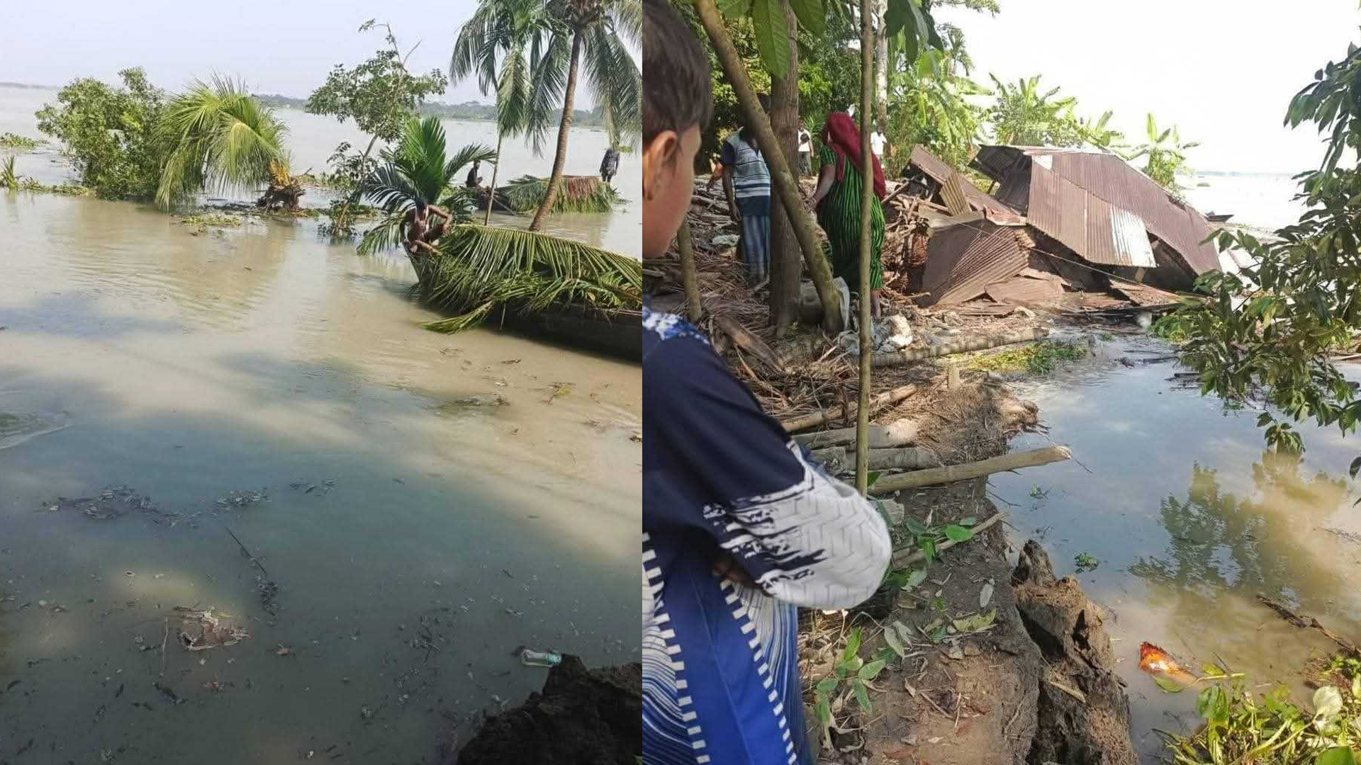 বরিশালে নদী ভাঙনে জমি-ঘর বিলীন