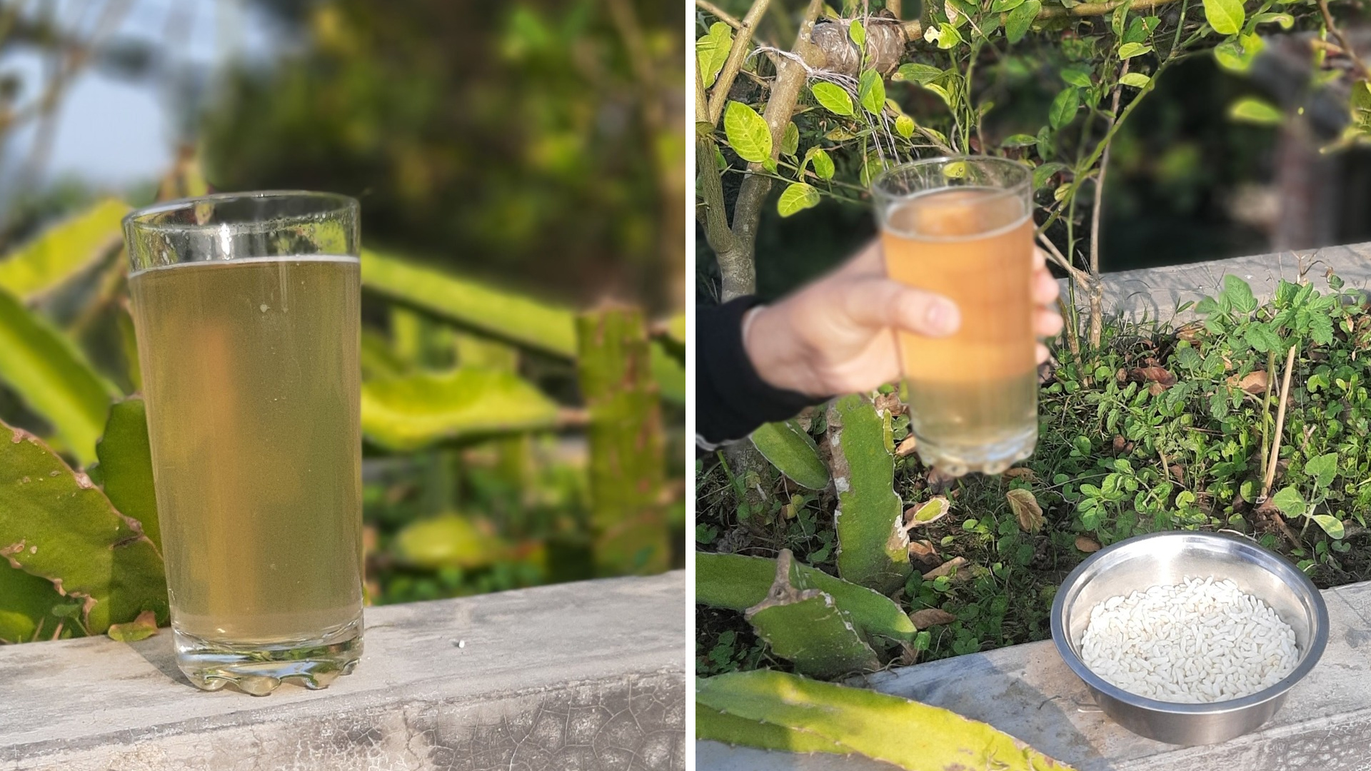 সুস্বাদু খেজুরের রস কখন মৃত্যুর কারণ?