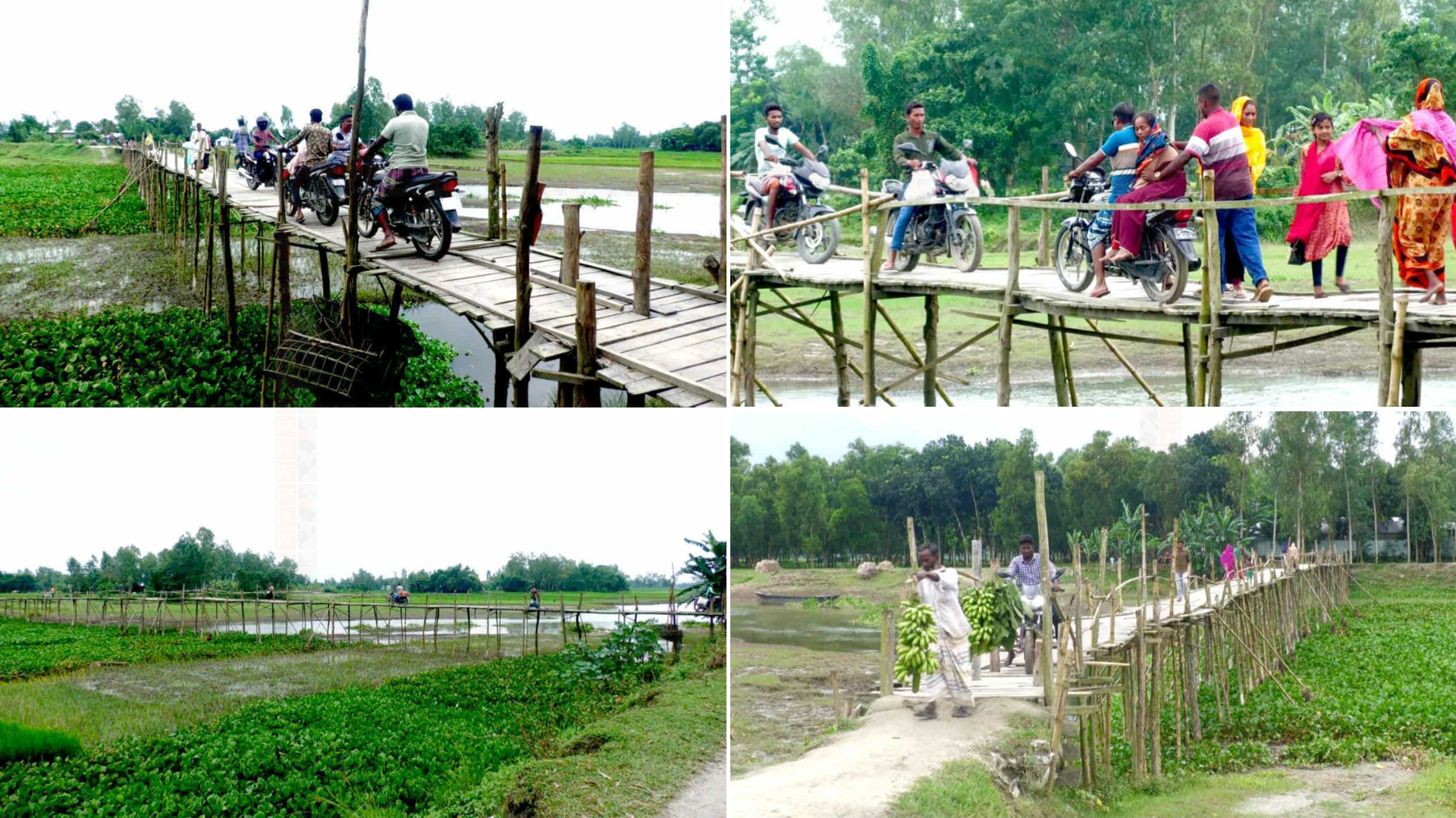 জামালপুরে ৩৫ বছরেও হয়নি সেতু, ভোগান্তিতে ১৩ গ্রামের মানুষ