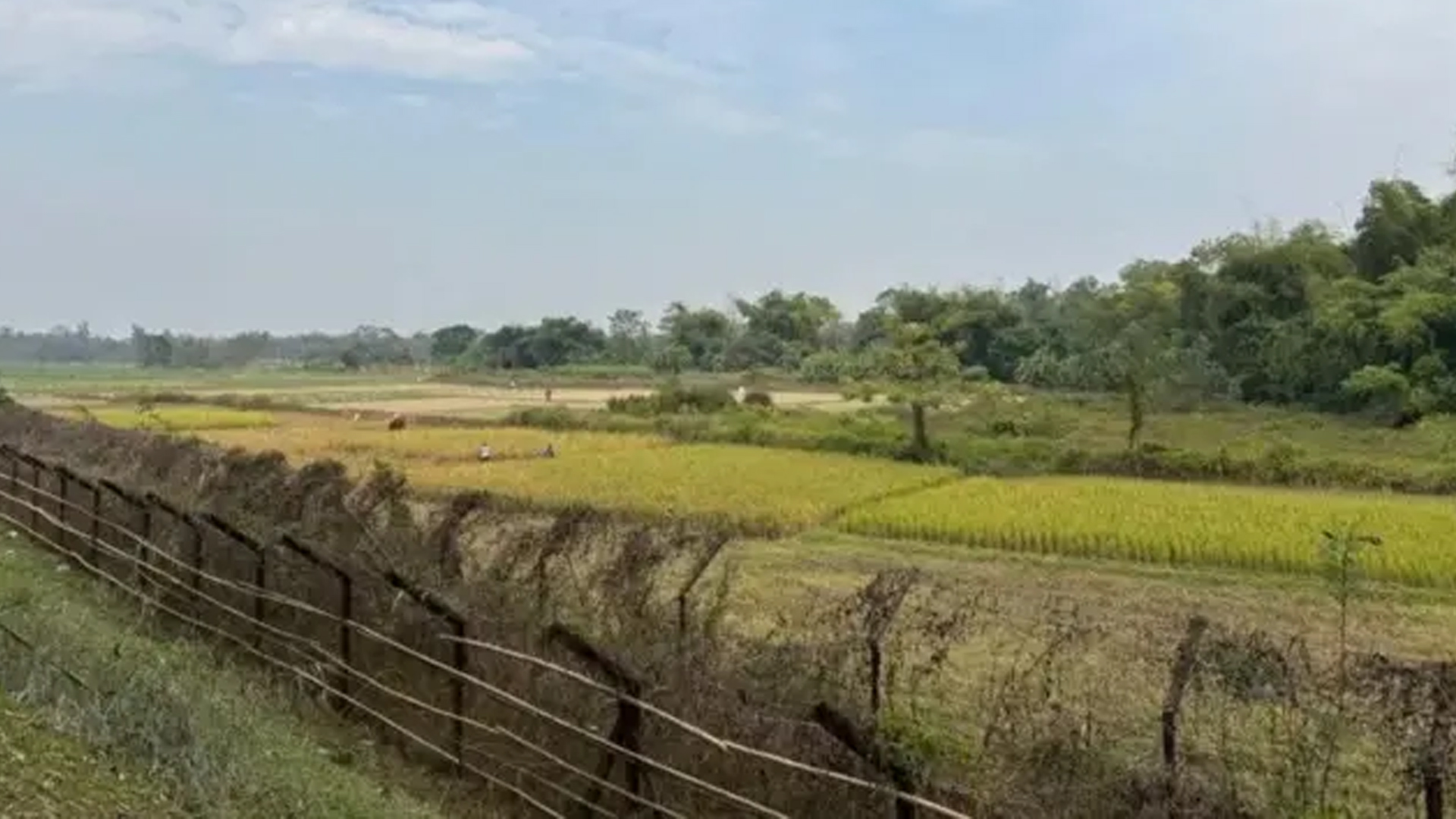 ত্রিপুরায় ৩ বাংলাদেশিকে হত্যা!