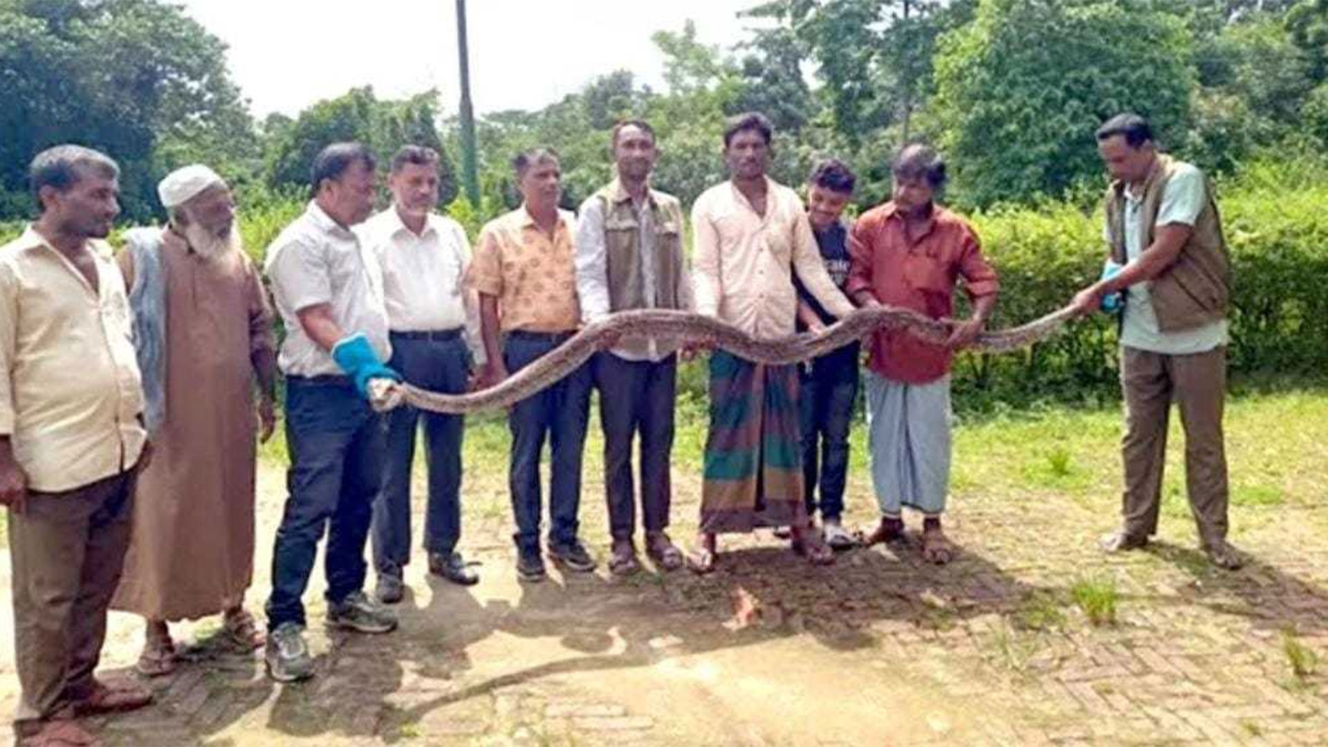 রামুতে লোকালয় থেকে ১৫ ফুট লম্বা অজগর উদ্ধার