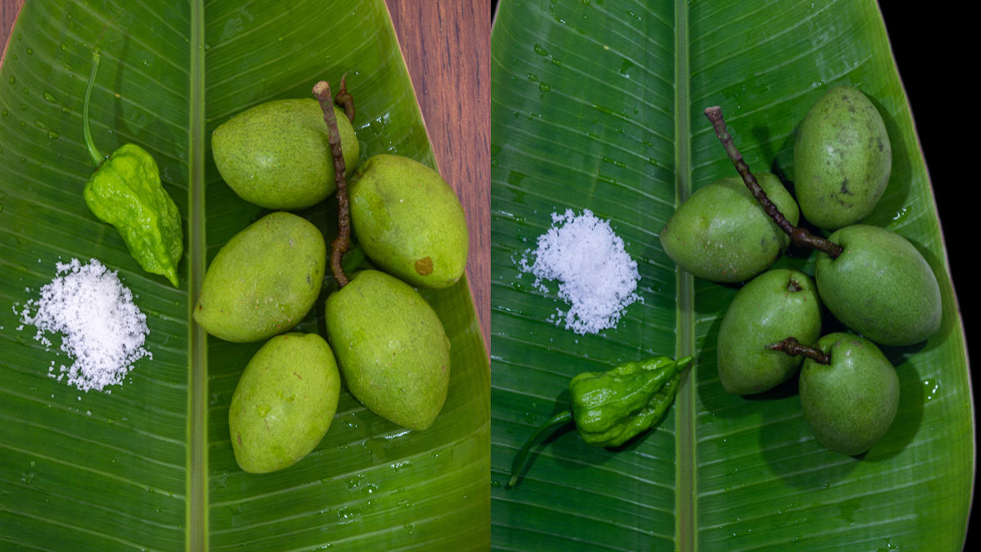 Osiyo eshak yalash porno video Yigitning orgazmi bilan onlayn jinsiy aloqa