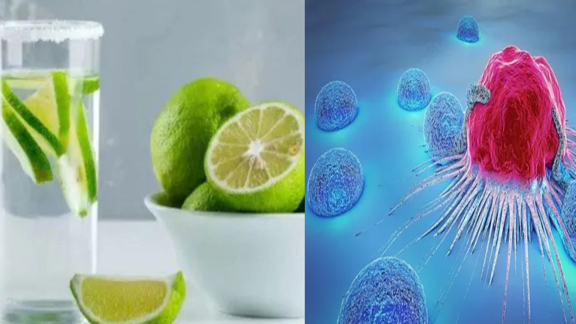 খালি পেটে ঘরোয়া ৪ পানীয় কমাবে ক্যানসারের ঝুঁকি