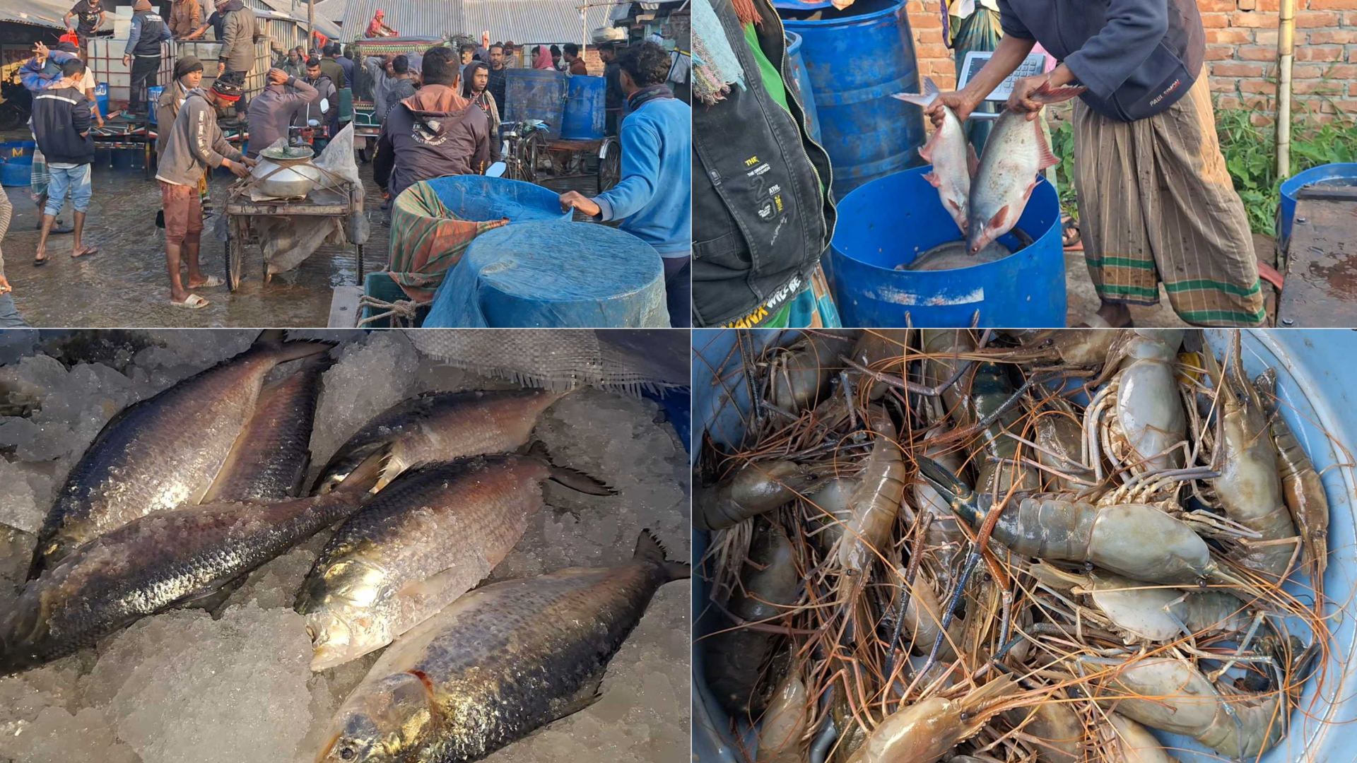 রমজানের প্রথম দিনেই চড়া নড়াইলের মাছের বাজার