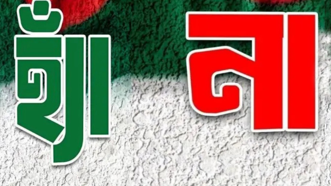 যে ৪ বিষয়ে হবে গণভোট