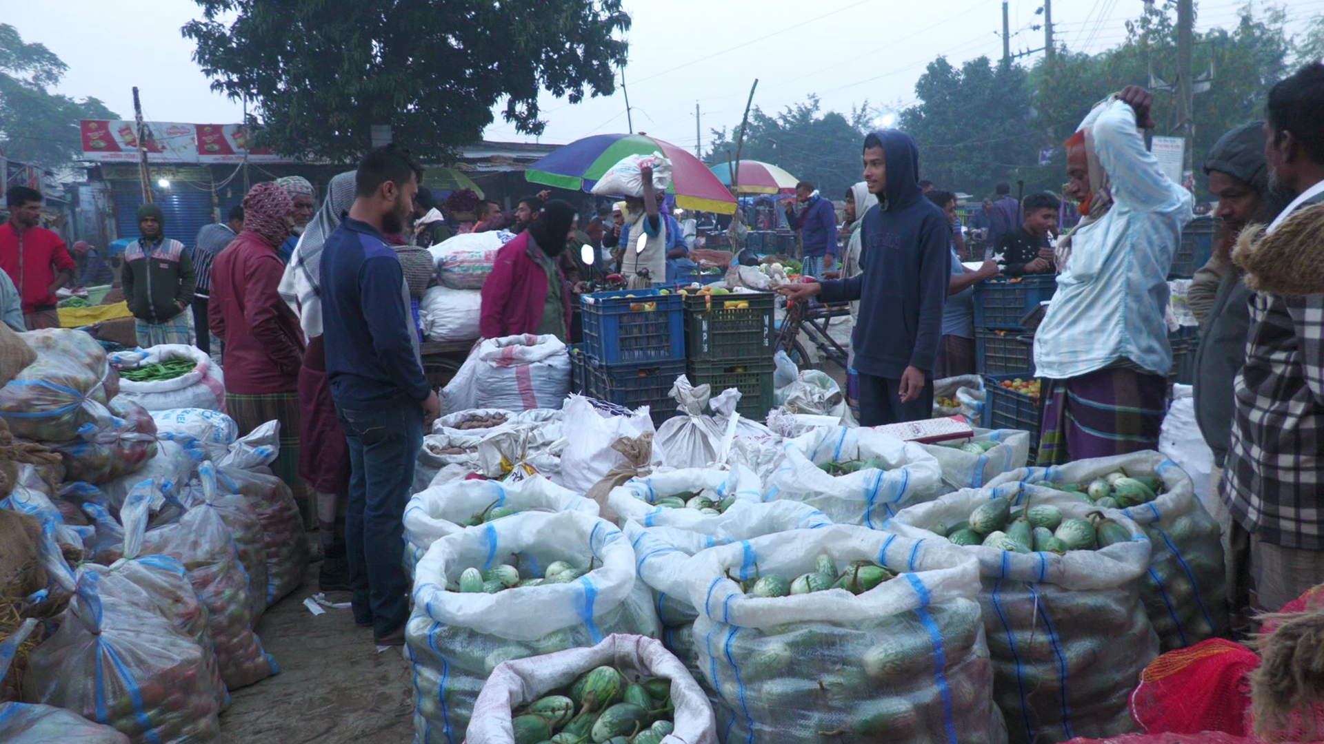 রোজার আগে ঊর্ধ্বমুখী নাটোরের সবজির বাজার, প্রতি পিস লেবুর দাম ২০ টাকা!