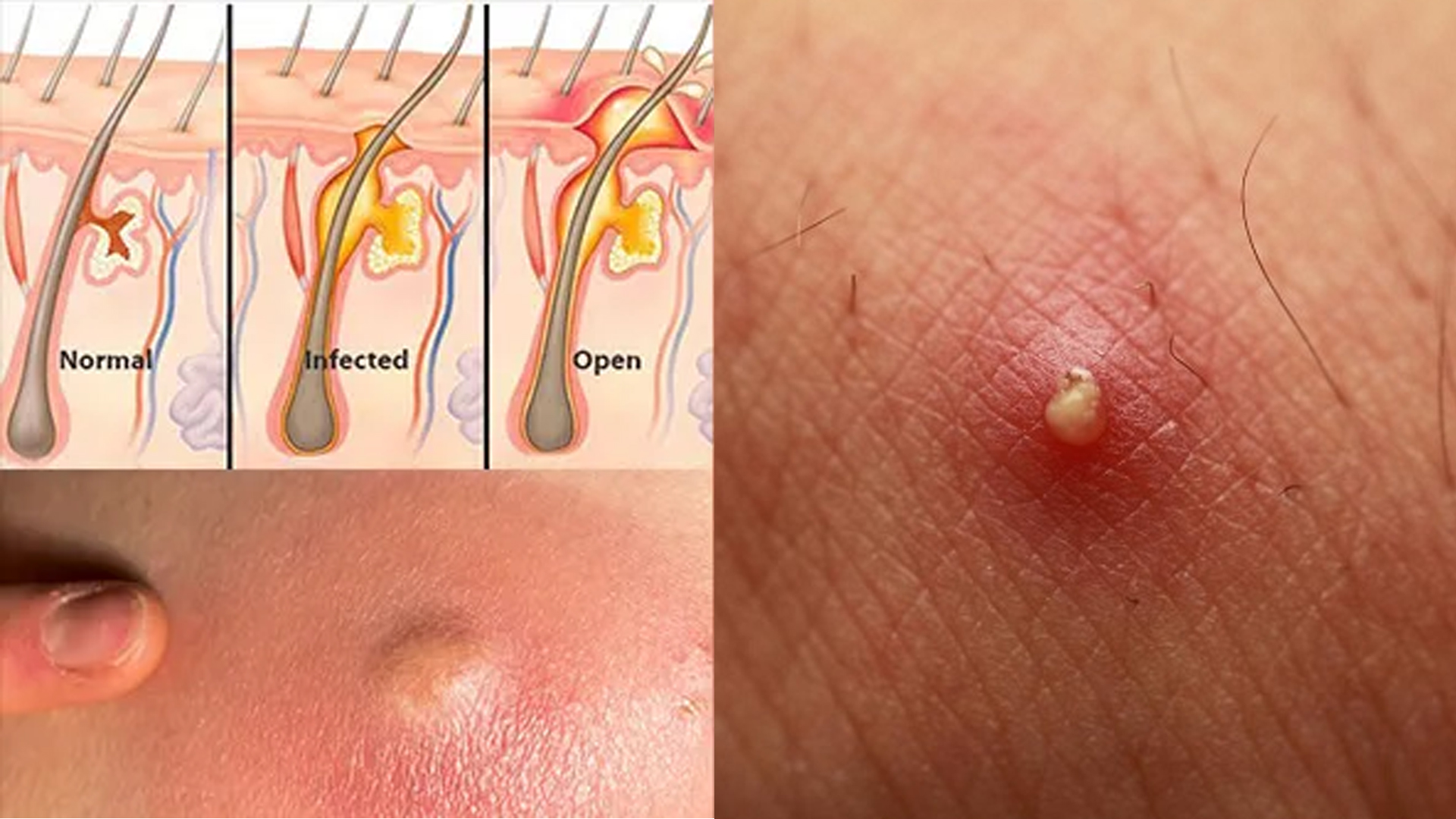 Videoda anal dilator Porno yulduz Klaudiya Mari