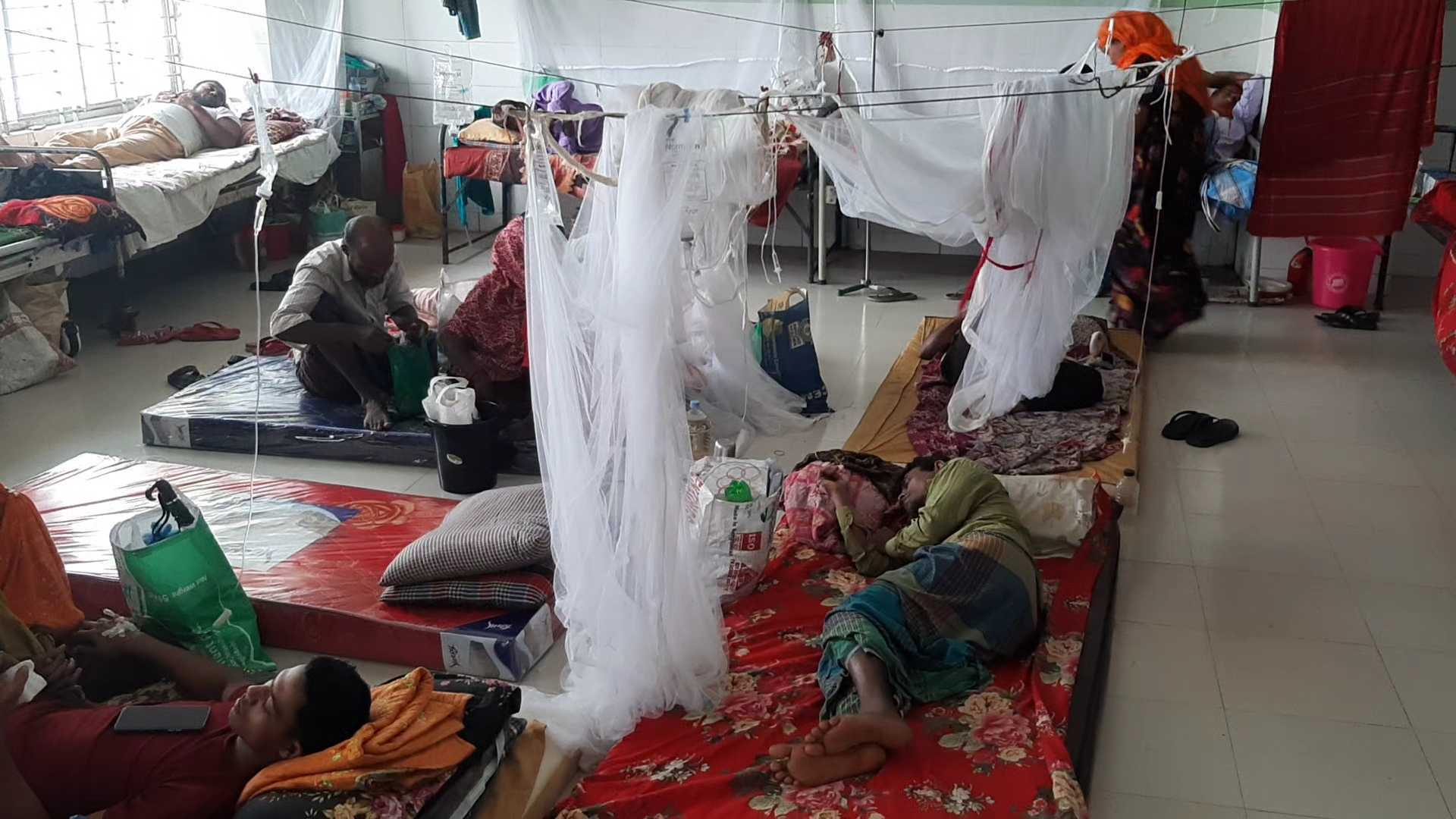 ডেঙ্গুতে আরও ২ মৃত্যু, হাসপাতালে ৩৮৬ জন