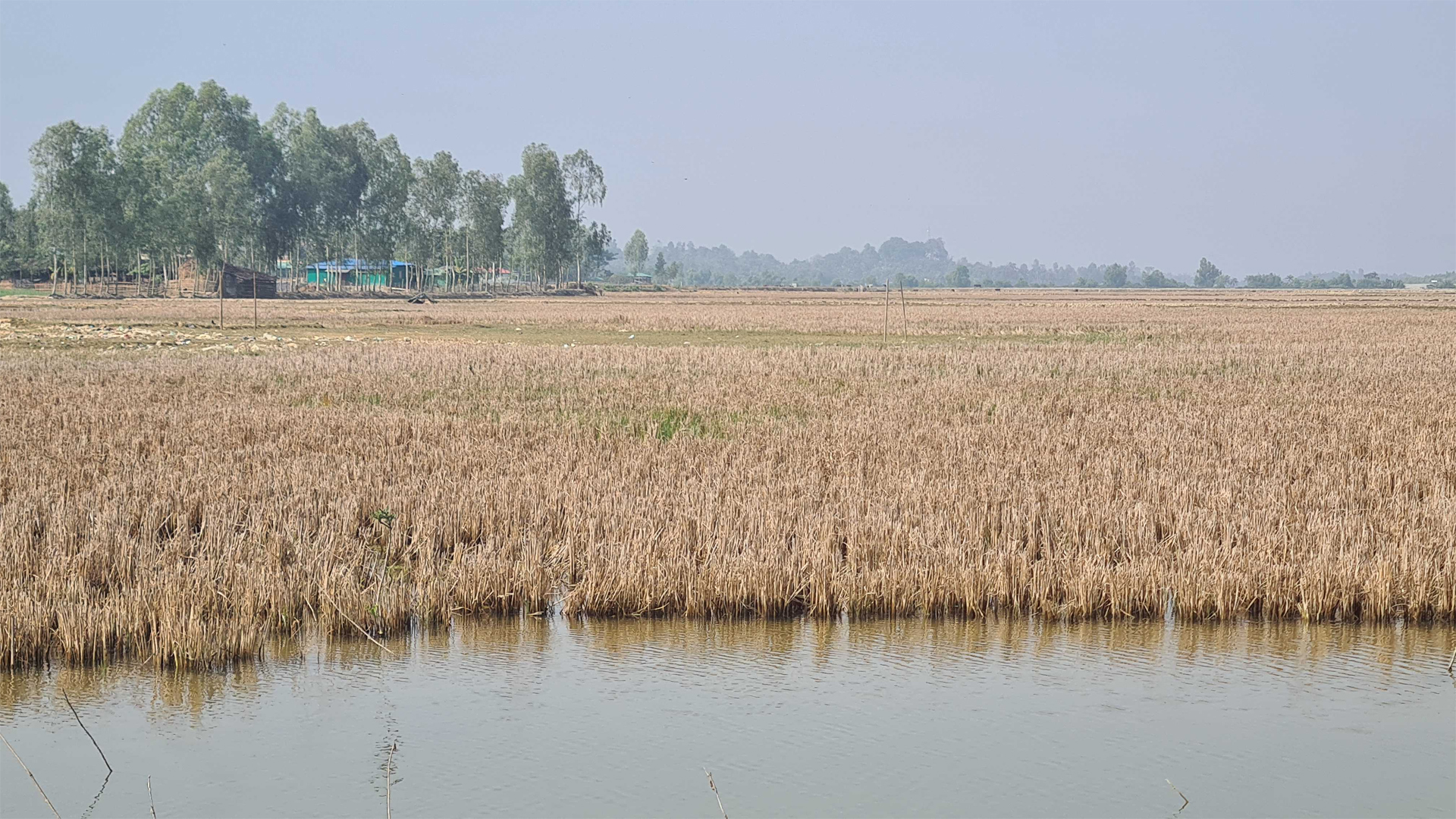 সীমান্ত জনপদে নতুন আতঙ্ক স্থল মাইন