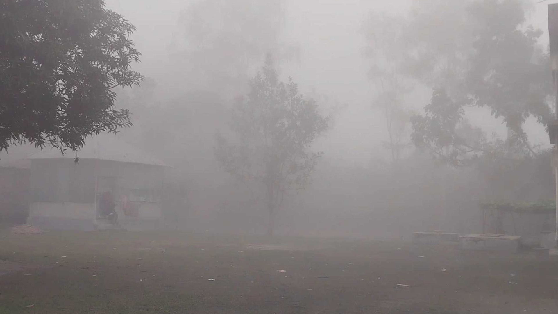 চৈত্রের ভোরেও ঘন কুয়াশায় ঢাকা পড়লো পঞ্চগড়