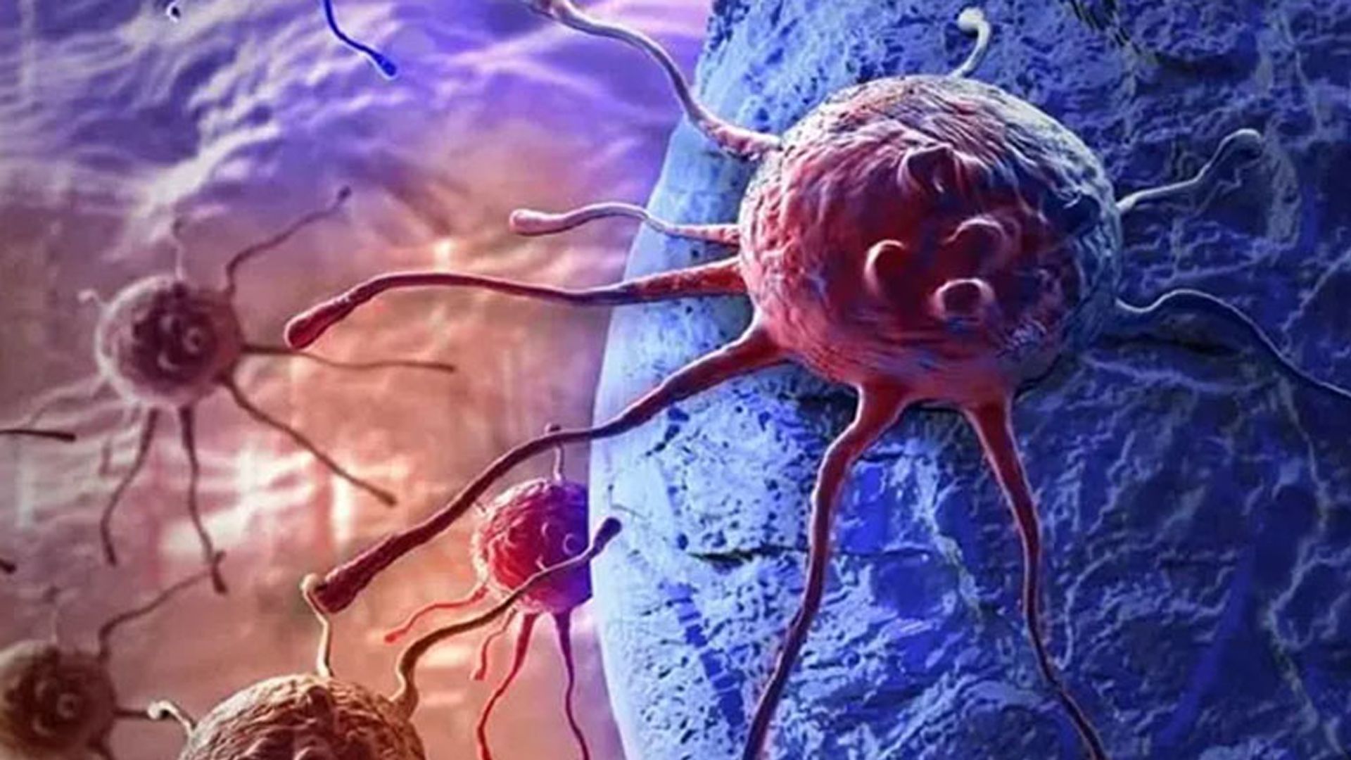 ক্যানসার প্রতিরোধ করবে খালি পেটে ঘরোয়া এই ৪ পানীয়