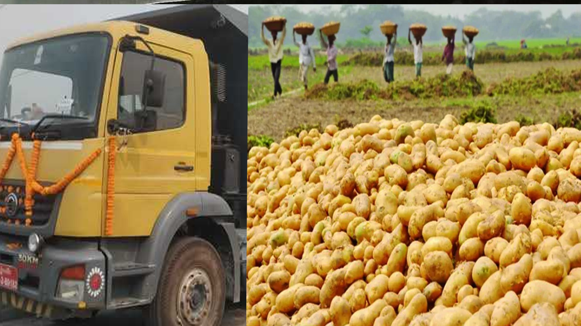 নেপালে বাড়ছে বাংলাদেশি আলুর চাহিদা, একদিনেই গেল হাজার মেট্রিক টনের বেশি