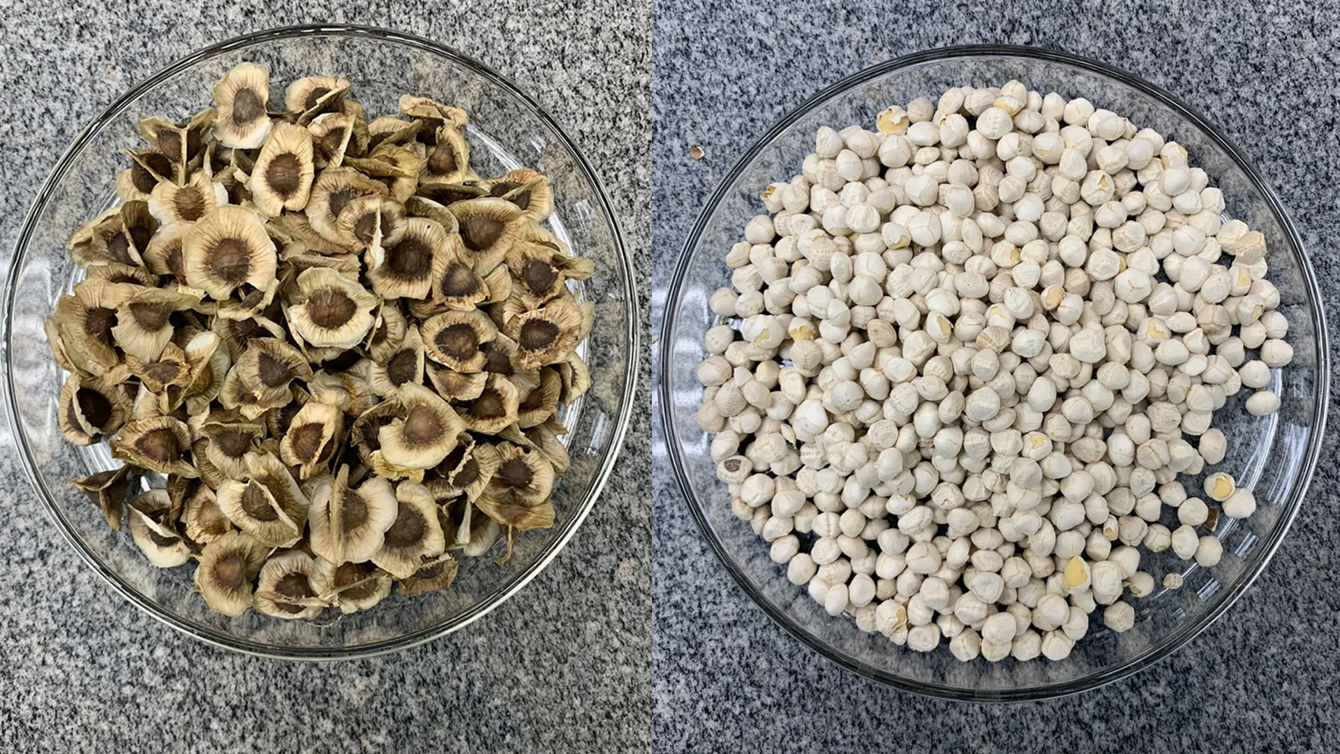 পানির মাইক্রোপ্লাস্টিক সমস্যার সমাধান হতে পারে ‘মিরাকল ট্রি’ সজনে: গবেষণা