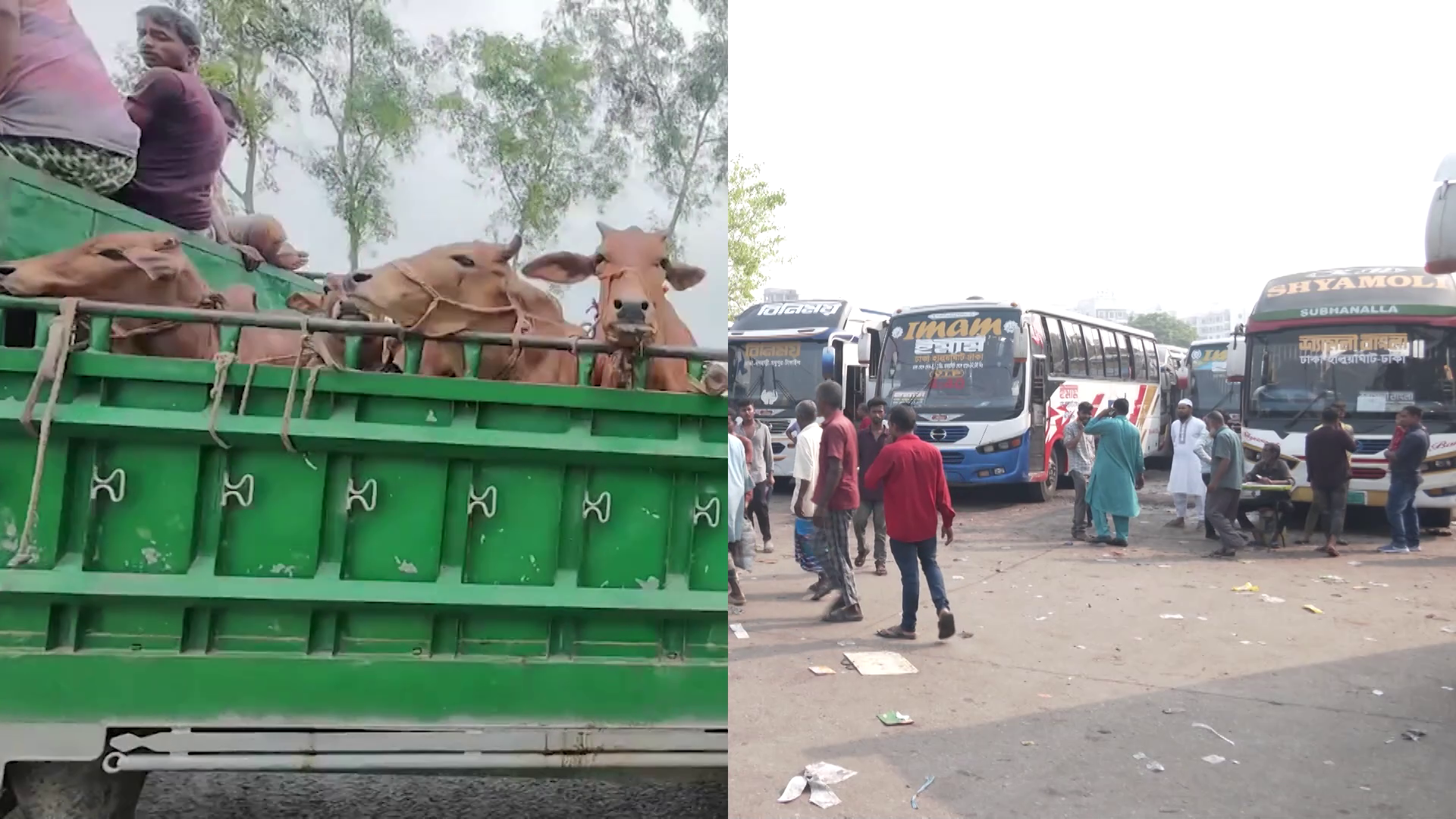 ঈদুল আজহায় ঢাকামুখী ও ঘরমুখো যাত্রায় তৈরি হচ্ছে দ্বিমুখী চাপ