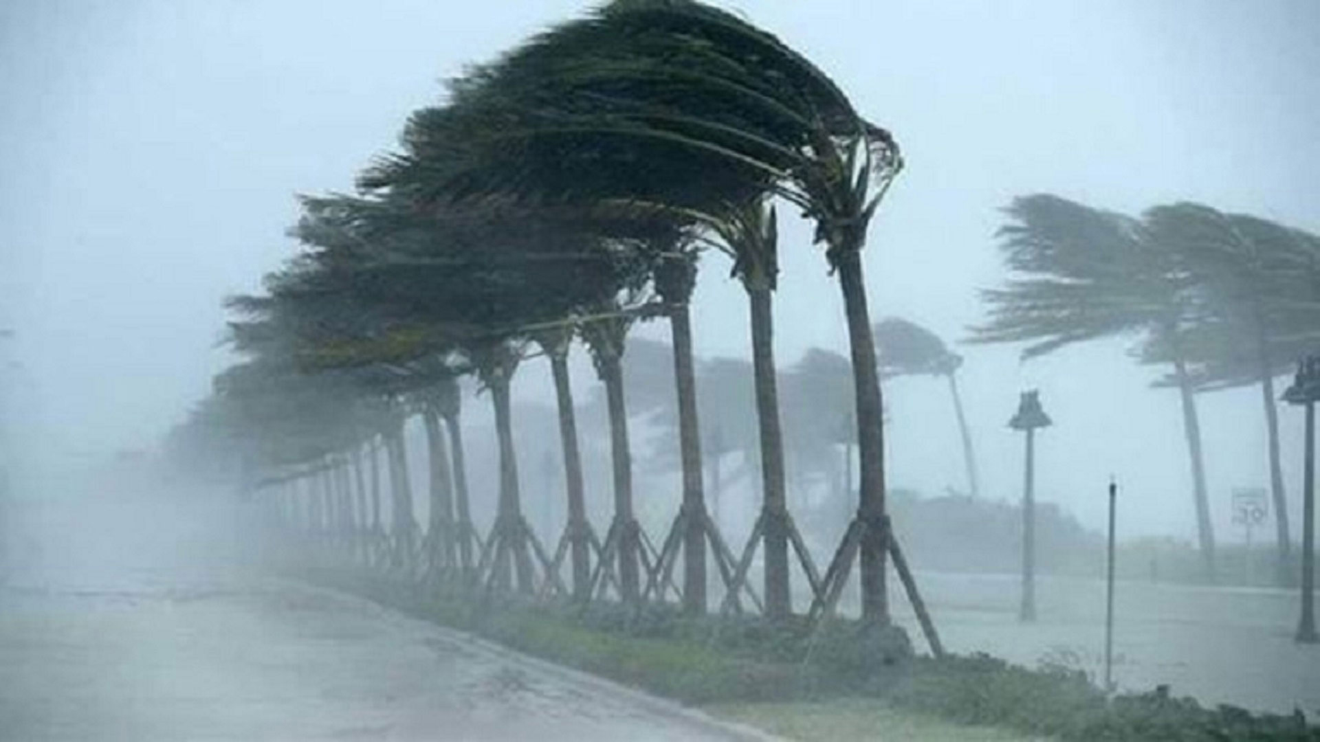 রাত ১টার মধ্যে যেসব জেলায় ৬০ কিমি বেগে ঝড়ের আভাস
