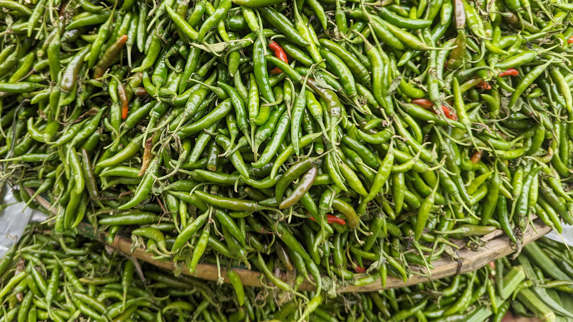 Tort oyoq ustida turgan semiz ayolning shaxsiy porno surati