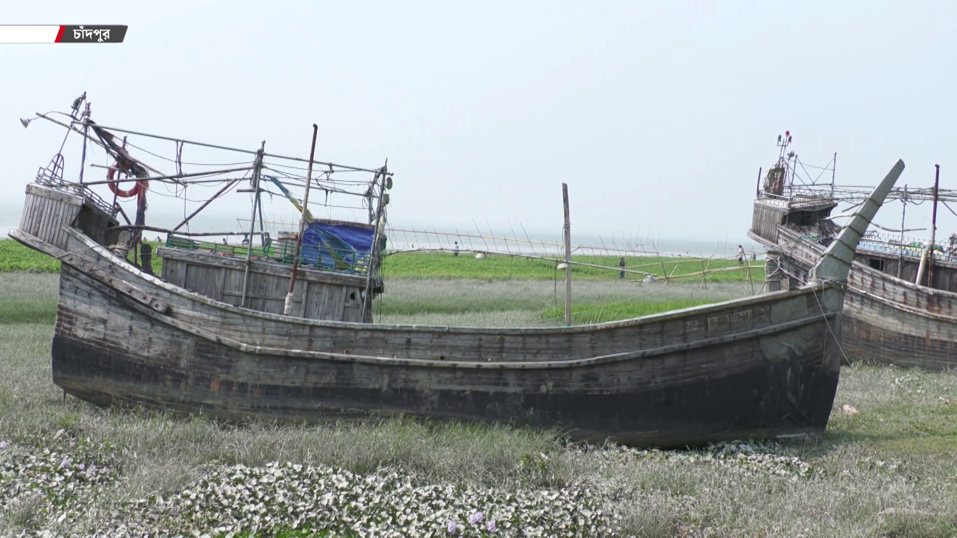 জাটকা সংরক্ষণে পদ্মা-মেঘনায় মাছ শিকারে নিষেধাজ্ঞা, বেকার জেলে পরিবারের দিন কাটছে চরম কষ্টে