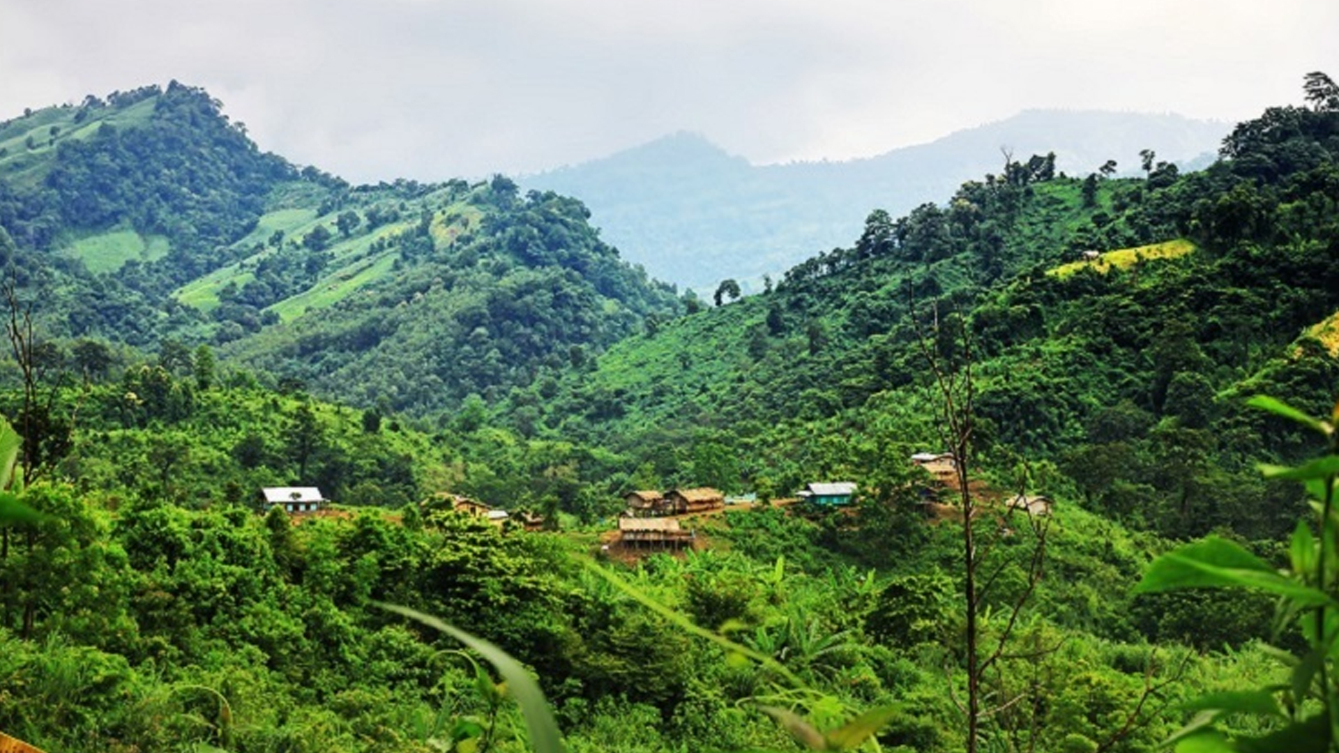 বান্দরবানে আবারও ৬ রাবার শ্রমিককে অপহরণ করল সশস্ত্র সন্ত্রাসীরা