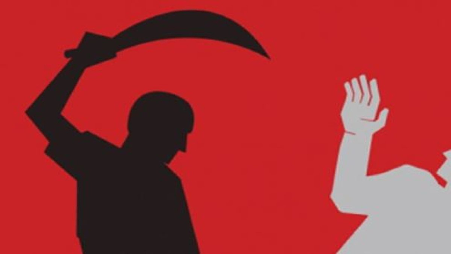 যৌতুকের মামলা করায় মাদারীপুরে গৃহবধূর ওপর হামলা, কুপিয়ে জখম