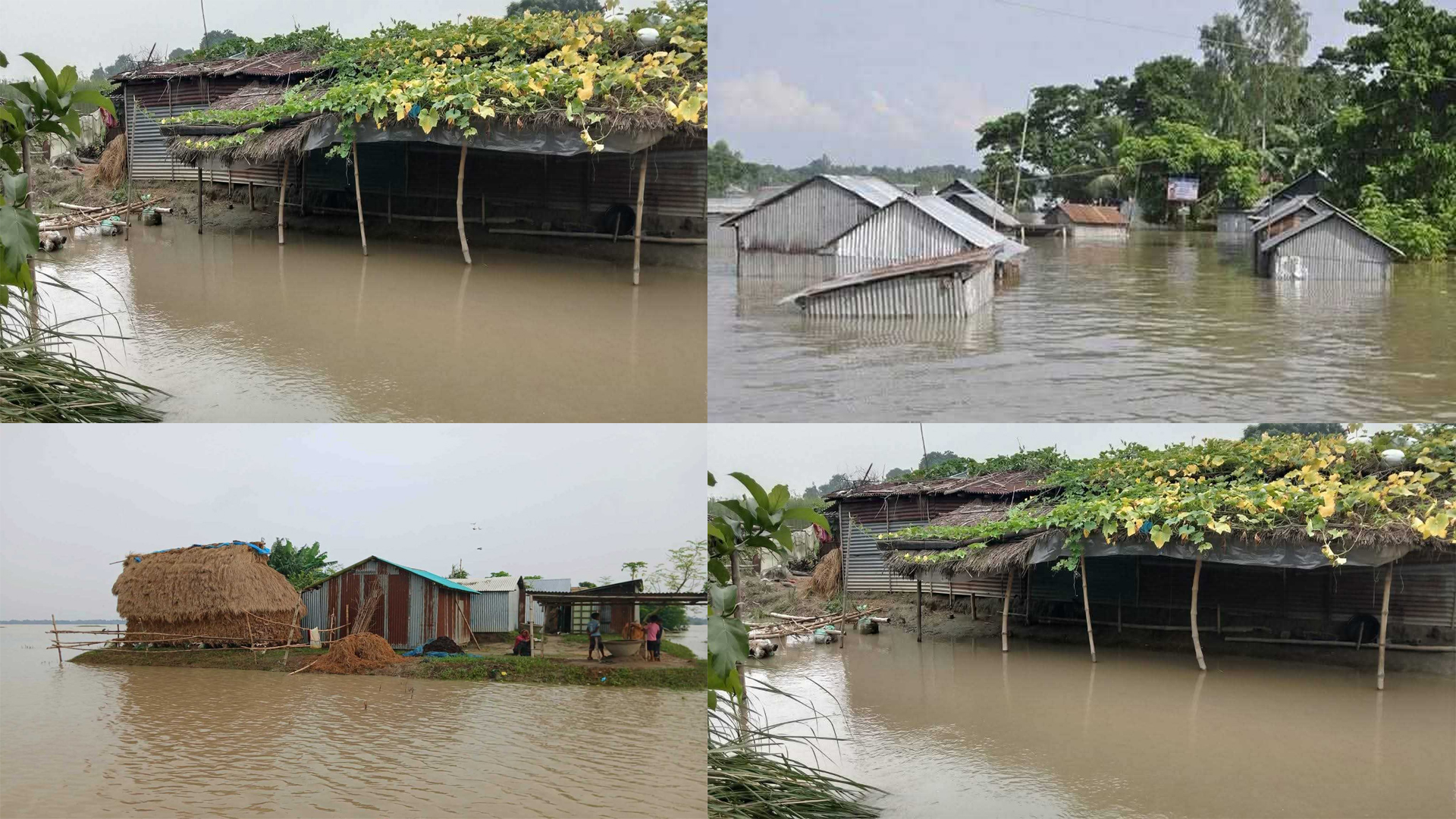 উজানের ঢলে চাঁপাইনবাবগঞ্জে নিম্নাঞ্চল প্লাবিত, পানিবন্দি ১১ হাজার পরিবার