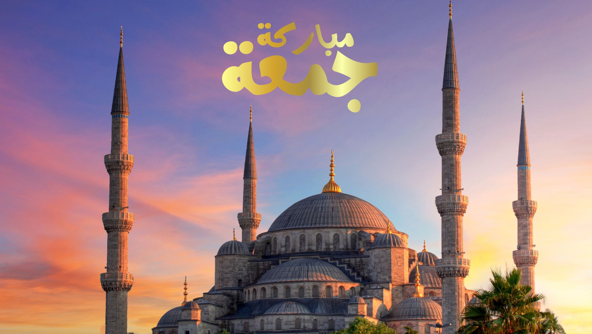 Seks yulduzlar video pivitsy