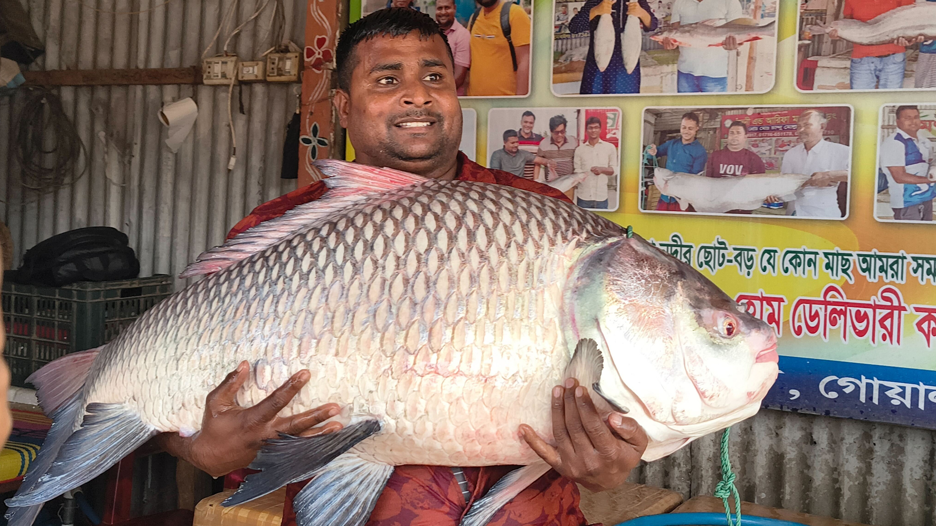 পদ্মার এক কাতল ৬৬ হাজার টাকায় বিক্রি!