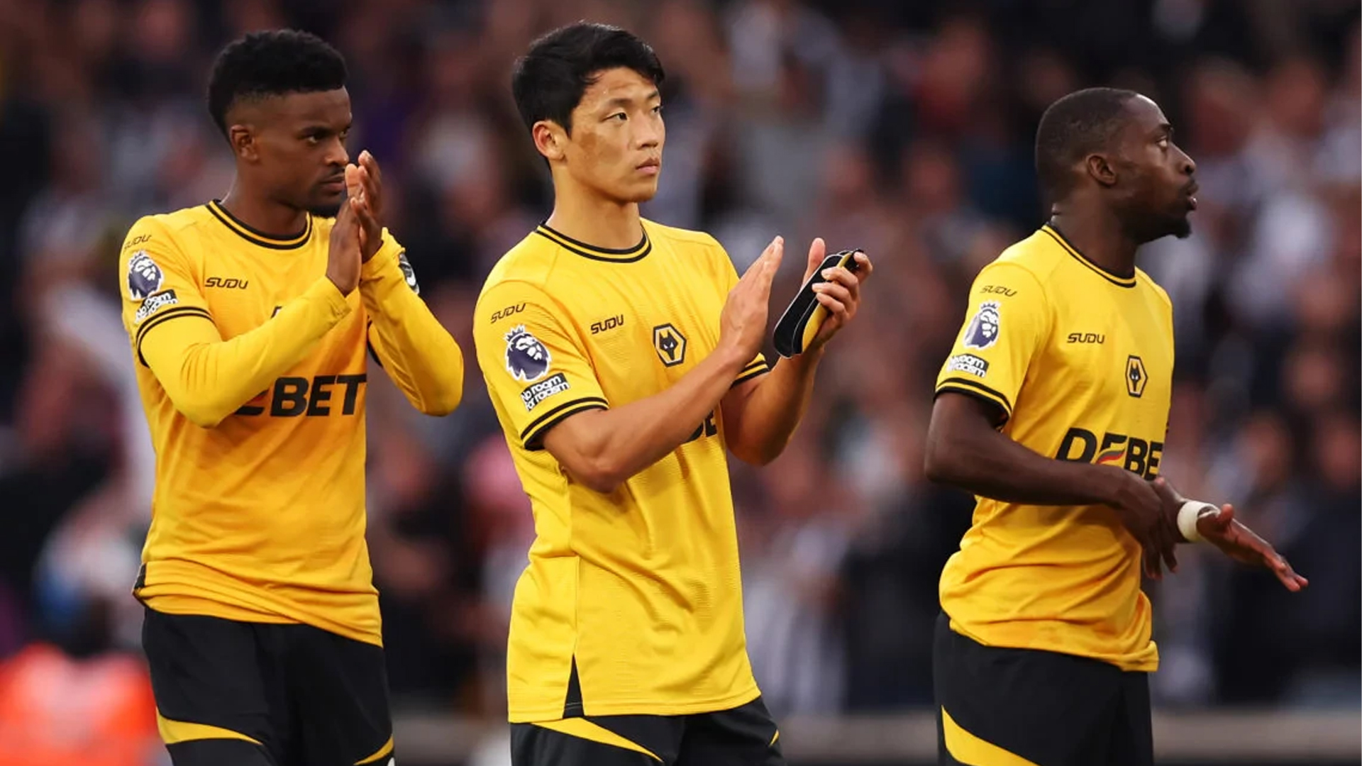 ৮ মৌসুম পর প্রিমিয়ার লিগ থেকে অবনমন উলভসের