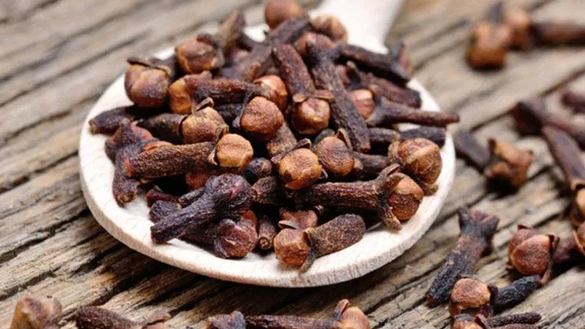 সংগৃহীত
