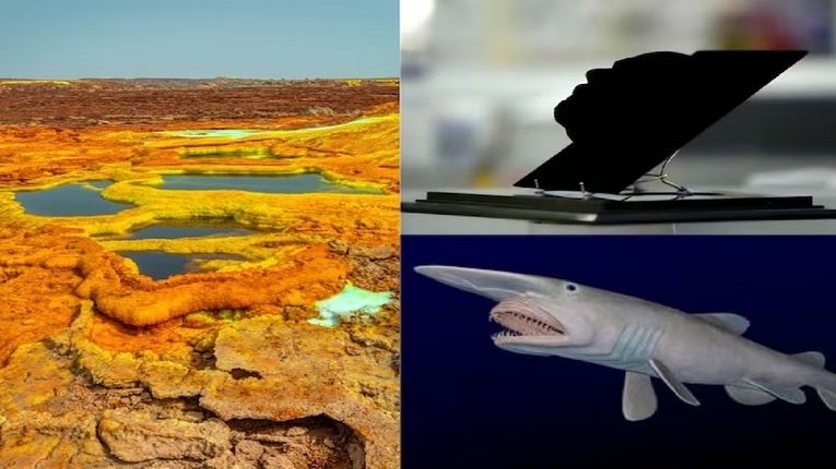 Opish paytida hol jinsiy olatni