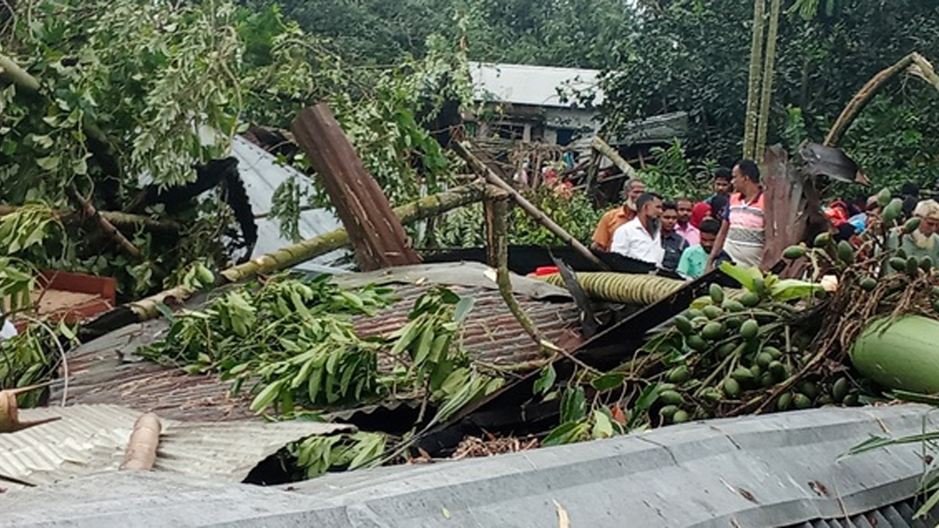 নীলফামারীতে আকস্মিক ঝড়ে তছনছ ৫ শতাধিক ঘরবাড়ি, আহত ৫০