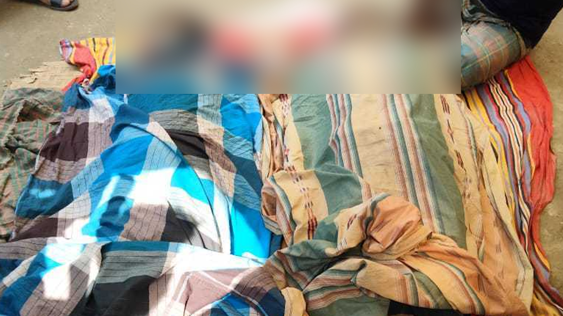 সেচপাম্প চালু করতে গিয়ে একসঙ্গে প্রাণ গেল বাবা-ছেলের