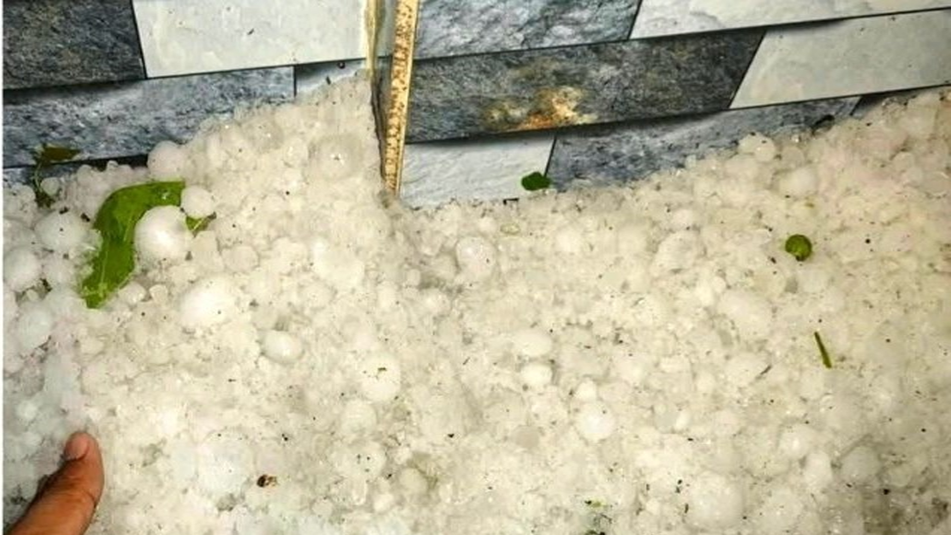 নীলফামারীতে শিলাবৃষ্টিতে ফসলের ব্যাপক ক্ষতি