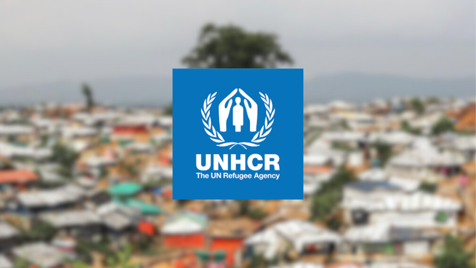 সমুদ্রপথে রোহিঙ্গাদের সবচেয়ে প্রাণঘাতী বছর ২০২৫: ইউএনএইচসিআর