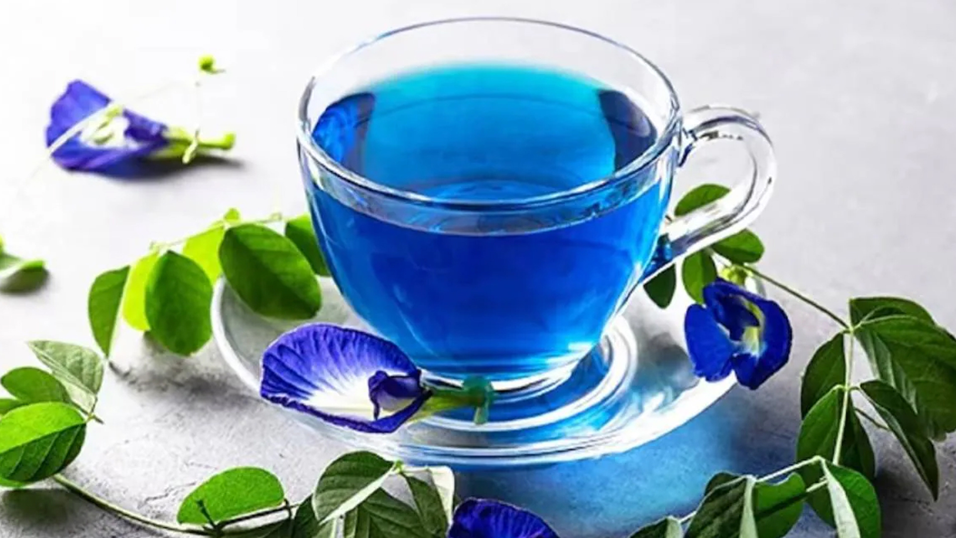 থাইরয়েড রোগীর অপরাজিতা ফুলের চা খেলে কী হয় শরীরে?