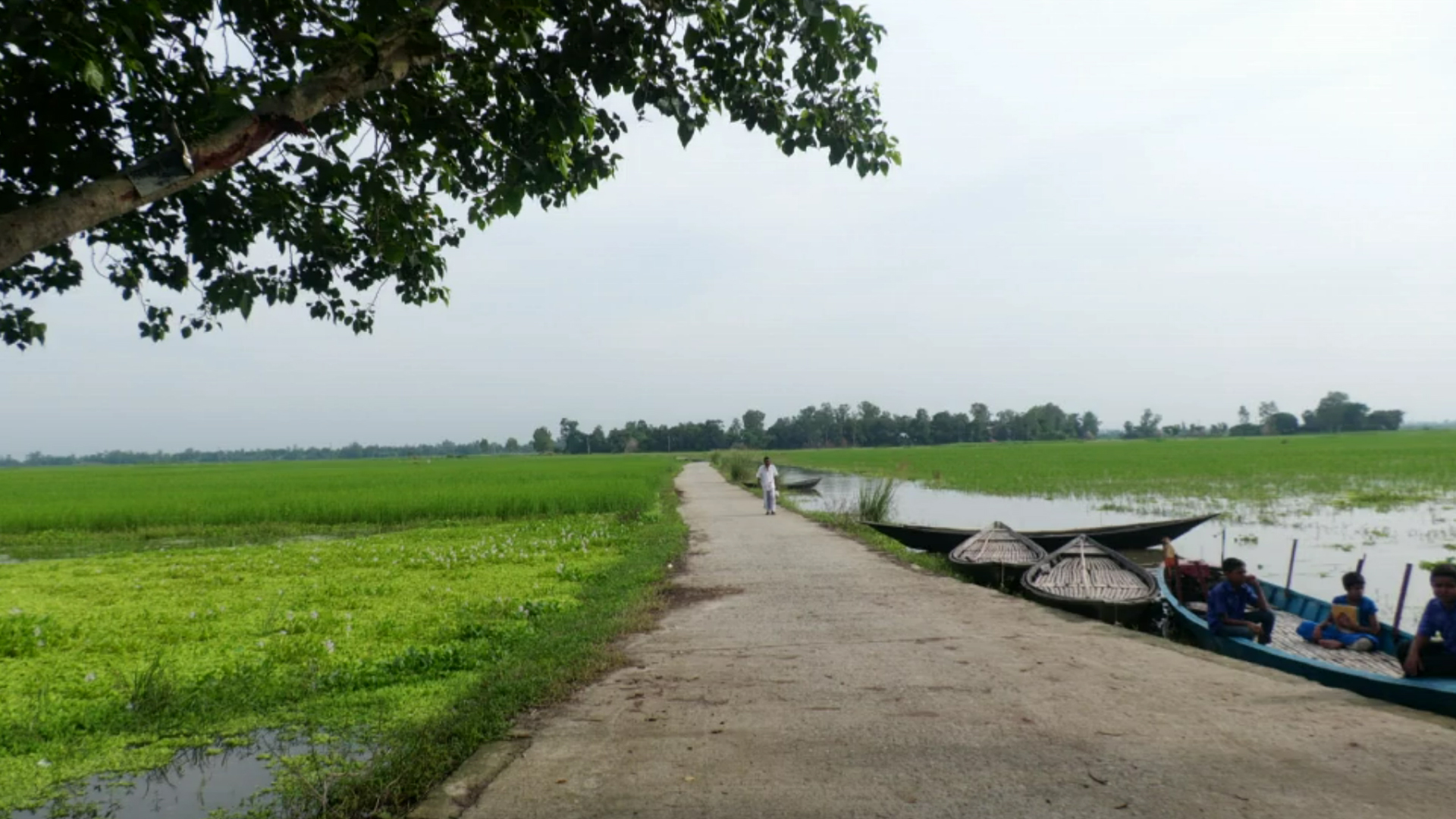 পর্যটক হারাচ্ছে চলনবিল, মাছের উৎপাদনেও ধসের শঙ্কা!