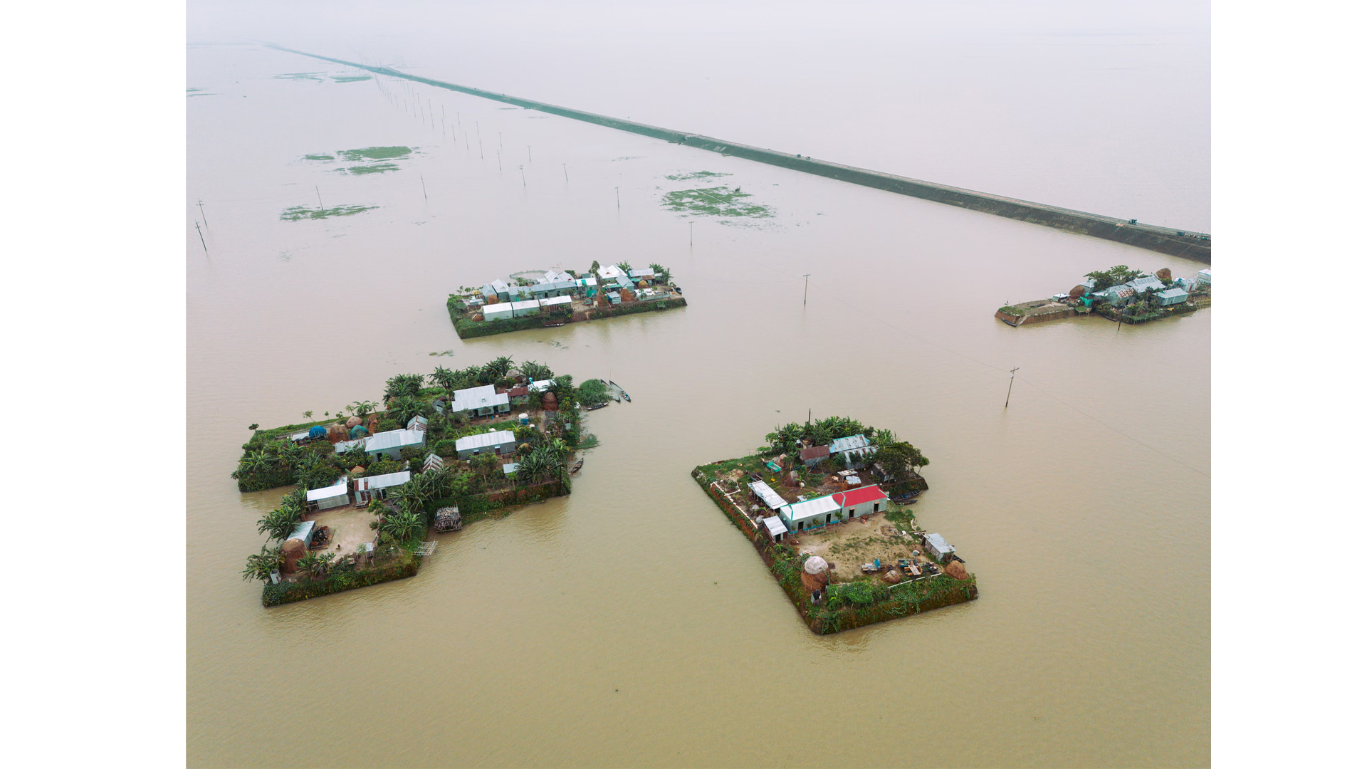 সনি ওয়ার্ল্ড ফটোগ্রাফি অ্যাওয়ার্ডস বিজয়ীদের তালিকায় দুই বাংলাদেশি