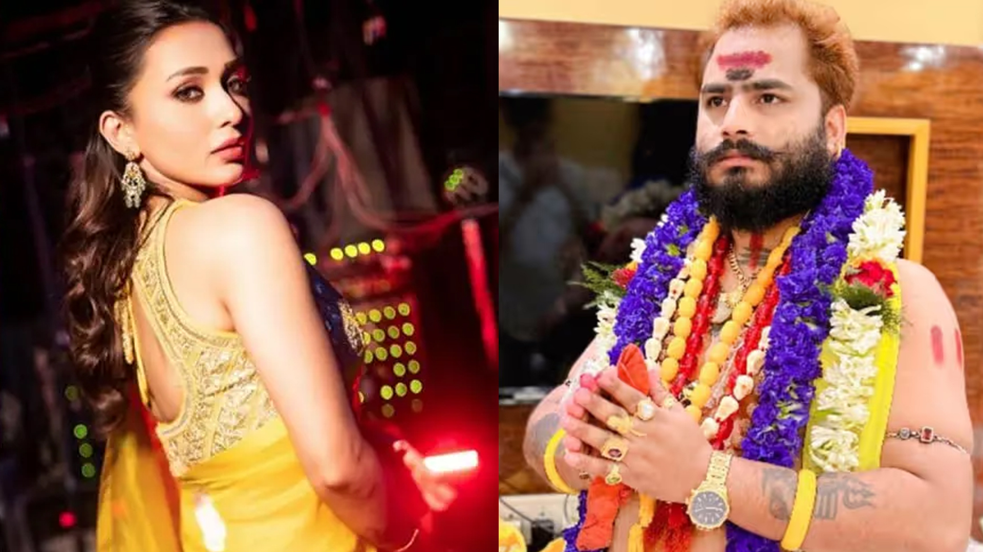  সংগৃহীত