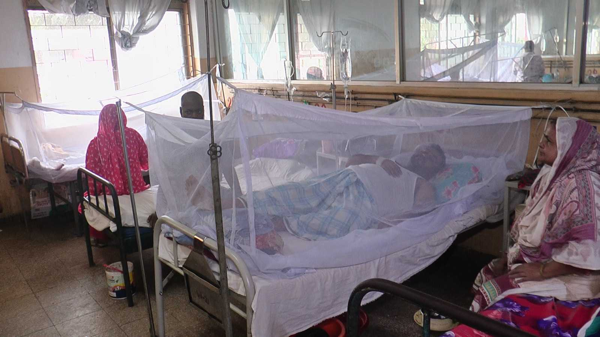 ডেঙ্গুতে মৃত্যুহীন দিনেও হাসপাতালে ৮৩৪ জন