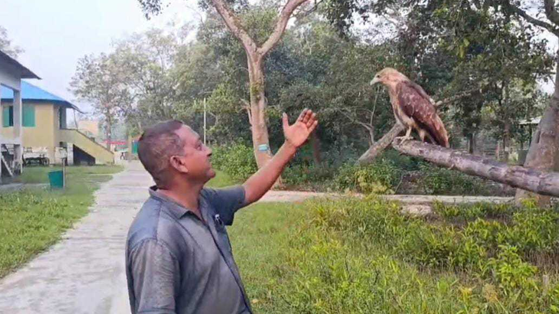বন কর্মকর্তার সঙ্গে প্রতিদিন নাস্তা করে ঈগল