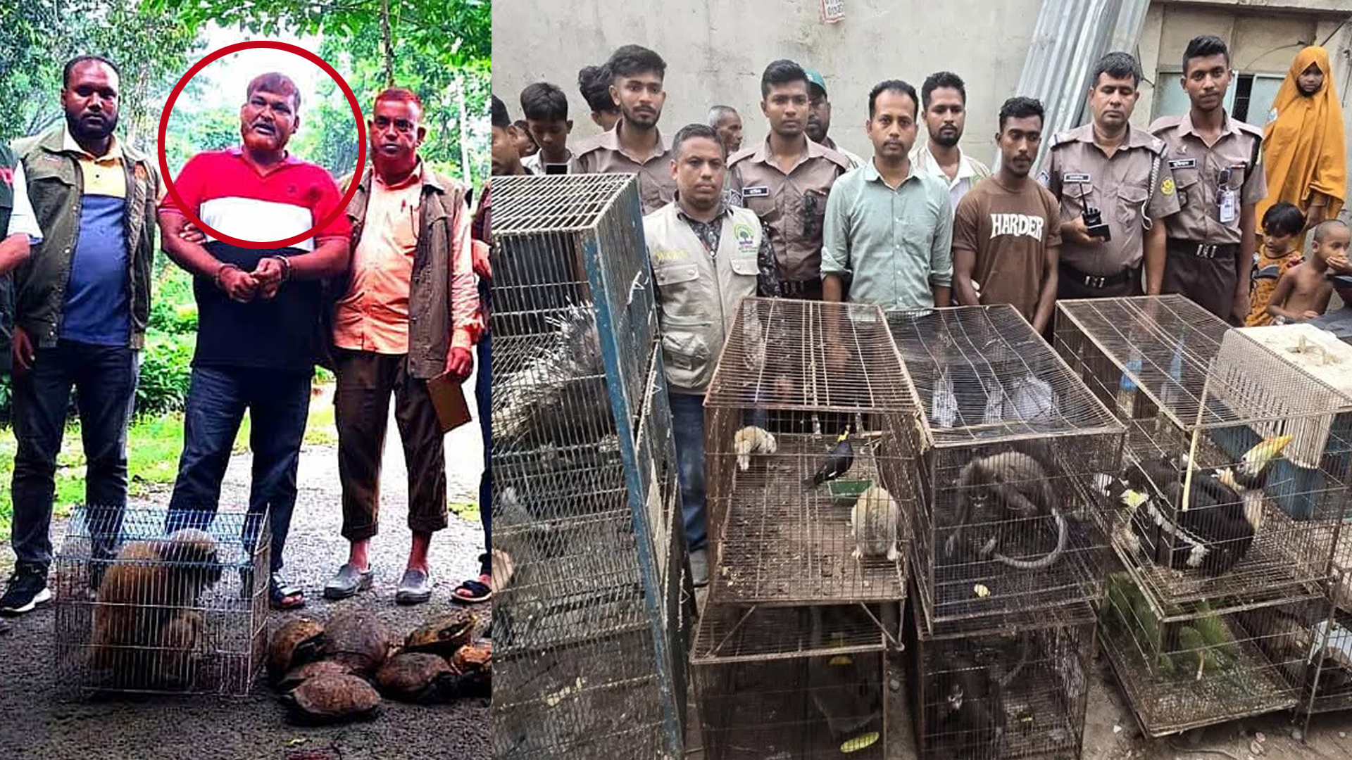 বন্যপ্রাণী পাচার চক্র নিয়ে চাঞ্চল্যকর তথ্য দিলো বন