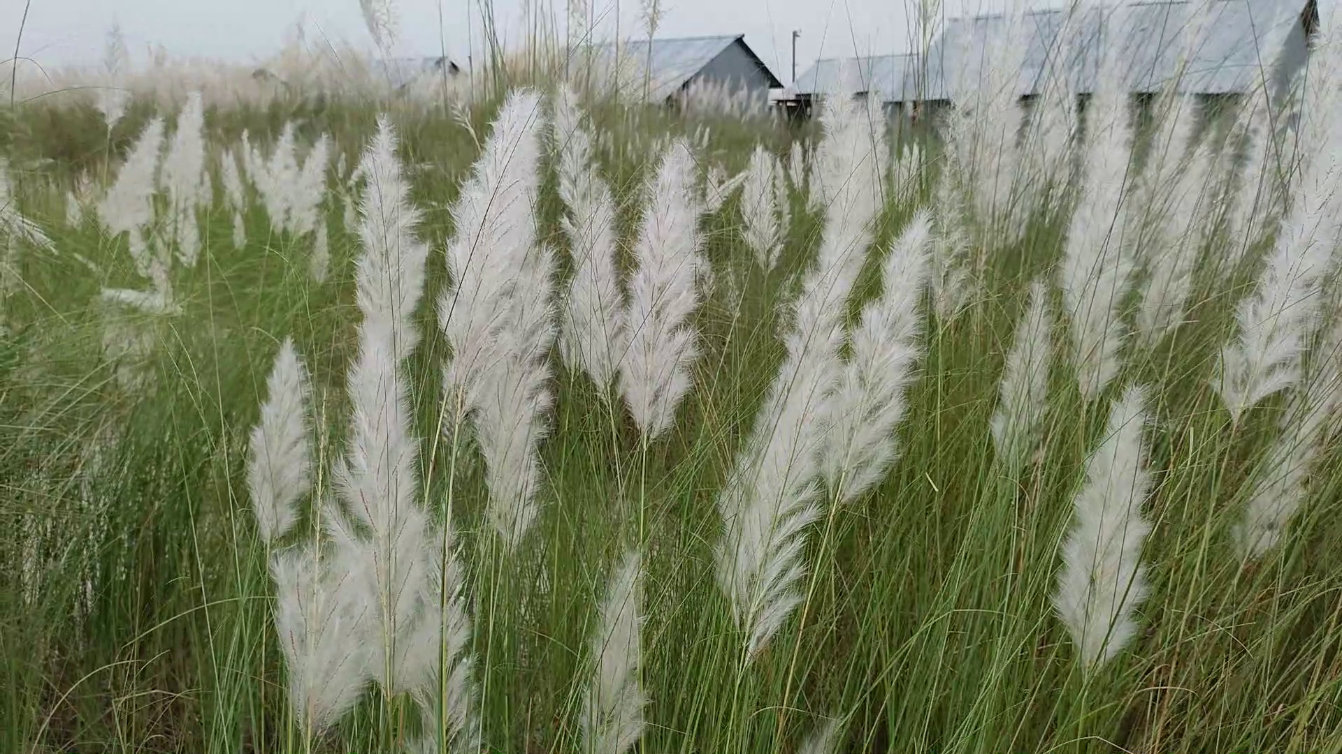 Kotibalarning porno suratlari Erkaklar uchun jinsiy lazzatlanish imkoniyatlari