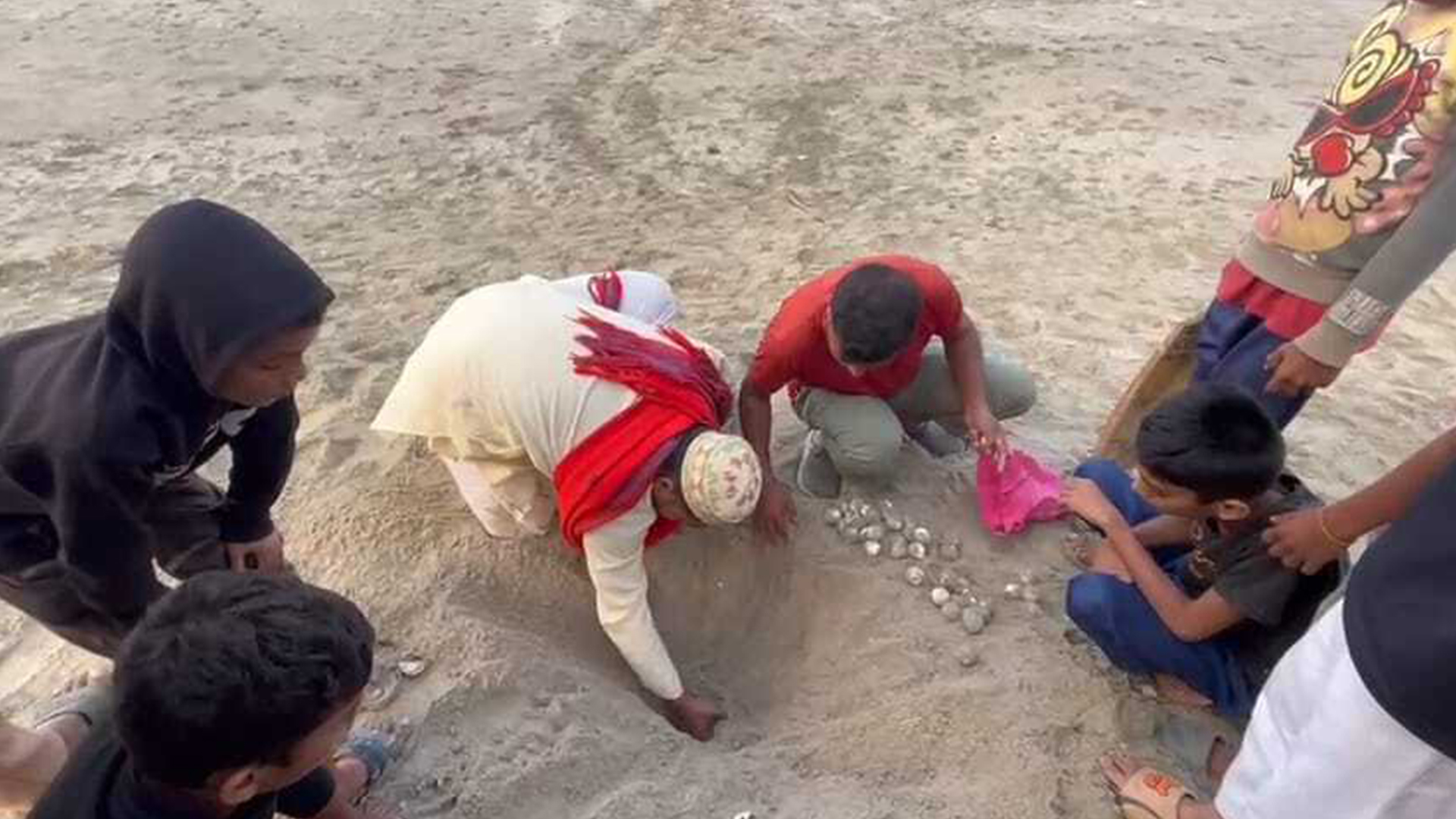 সৈকতে কুকুরের খোঁড়াখুঁড়ি, অল্পের জন্য রক্ষা পেল কচ্ছপের ১২০ ডিম