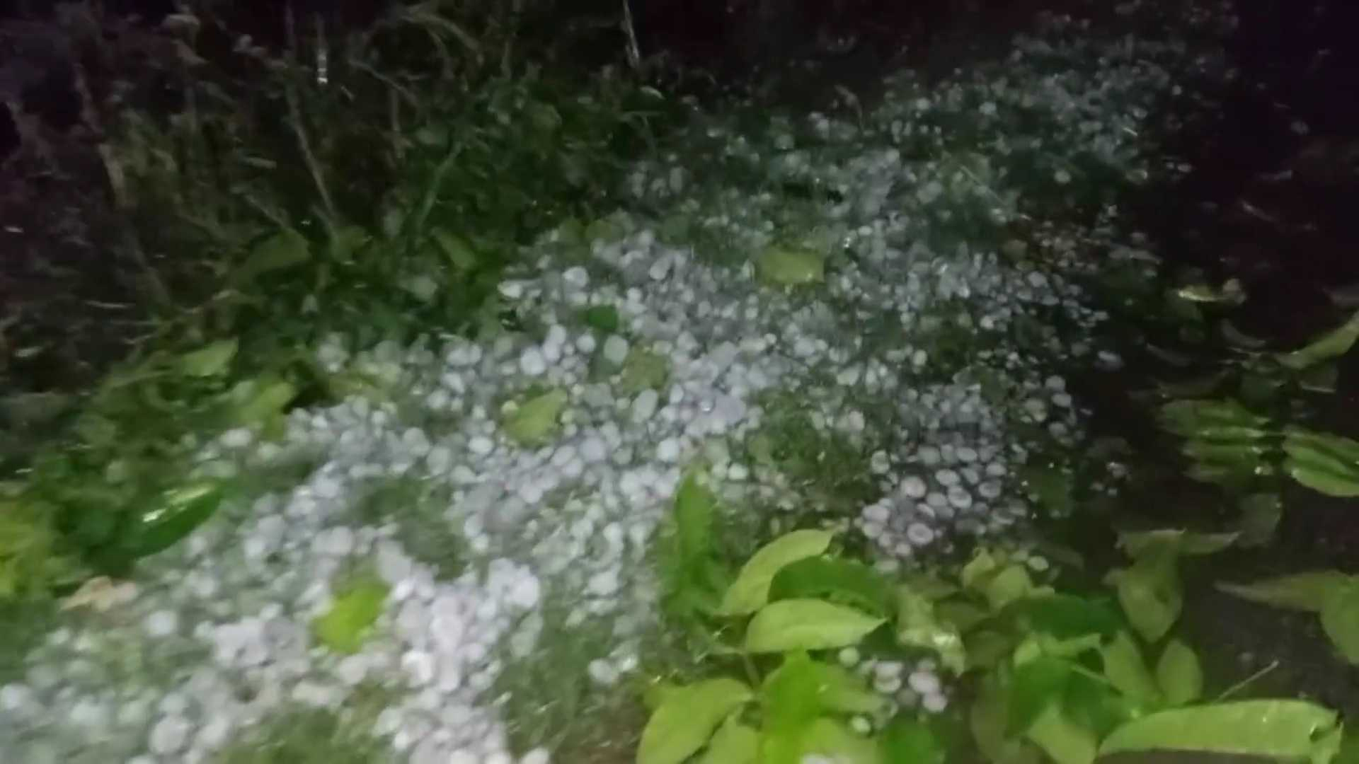 পঞ্চগড়ে হঠাৎ শিলাবৃষ্টি ও কালবৈশাখীর তাণ্ডব, ফসলের ব্যাপক ক্ষতির আশঙ্কা