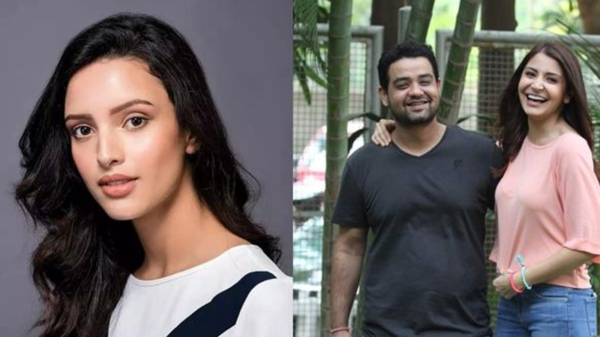 অভিনেত্রী আনুশকার ভাইয়ের সঙ্গে বিয়ে ভেঙে যায় তৃপ্তির