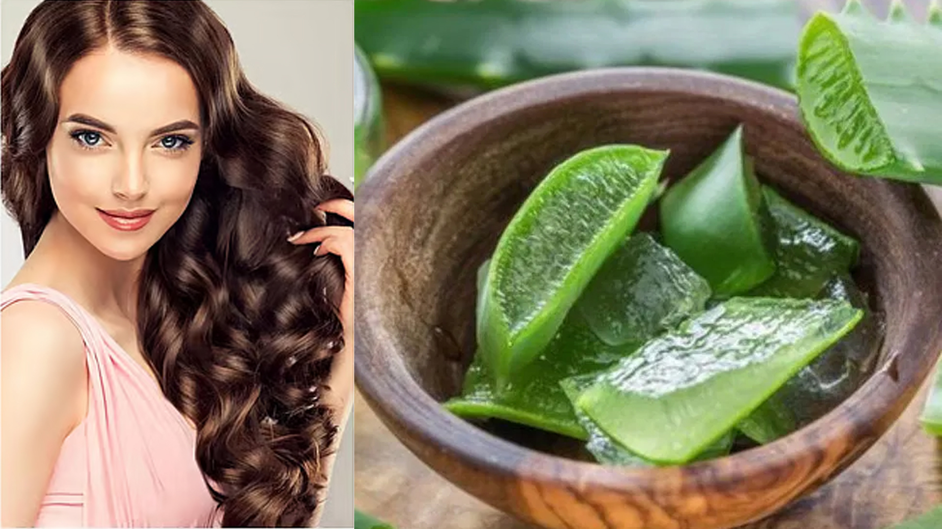ঘন, লম্বা চুল পেতে অ্যালোভেরা কীভাবে ব্যবহার করবেন?