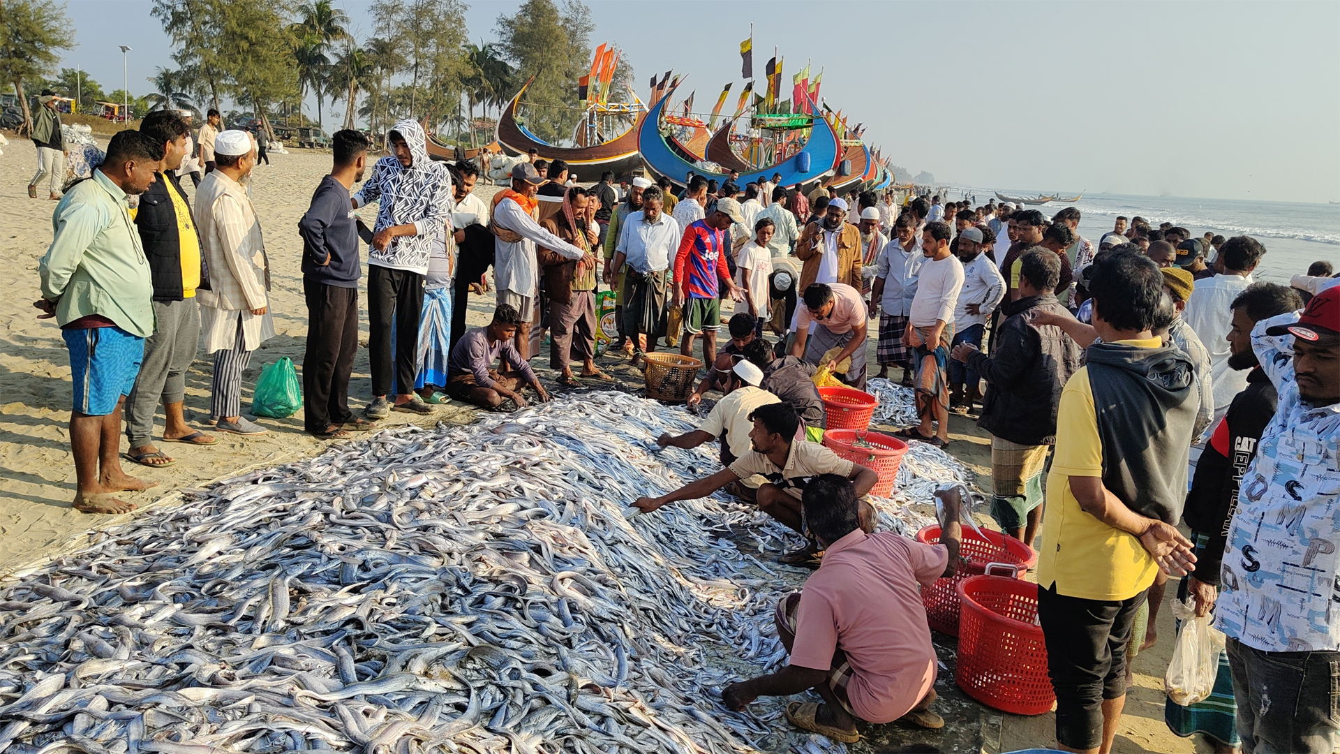 এক জালে ধরা পড়ল ১০৬ মণ মাছ, ৯ লাখ টাকায় বিক্রি