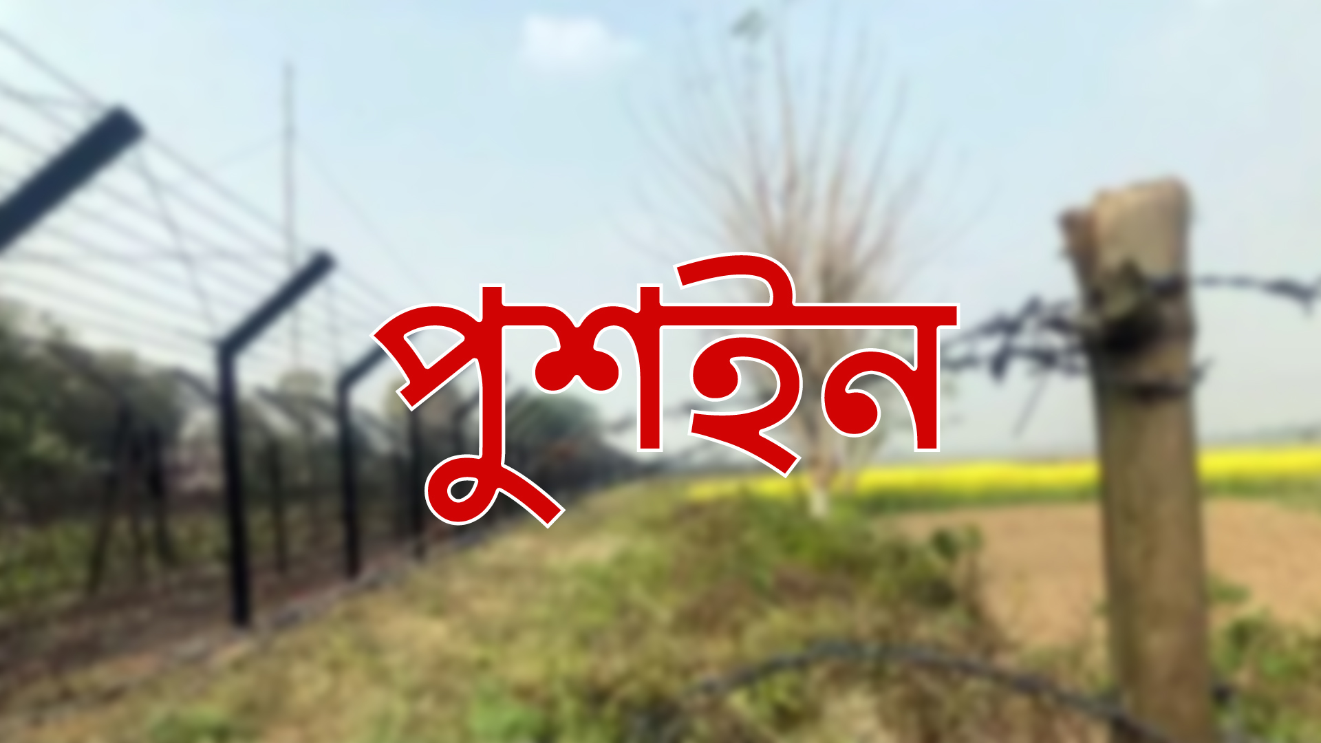 নওগাঁ সীমান্ত দিয়ে ১০ বাংলাদেশিকে পুশইন